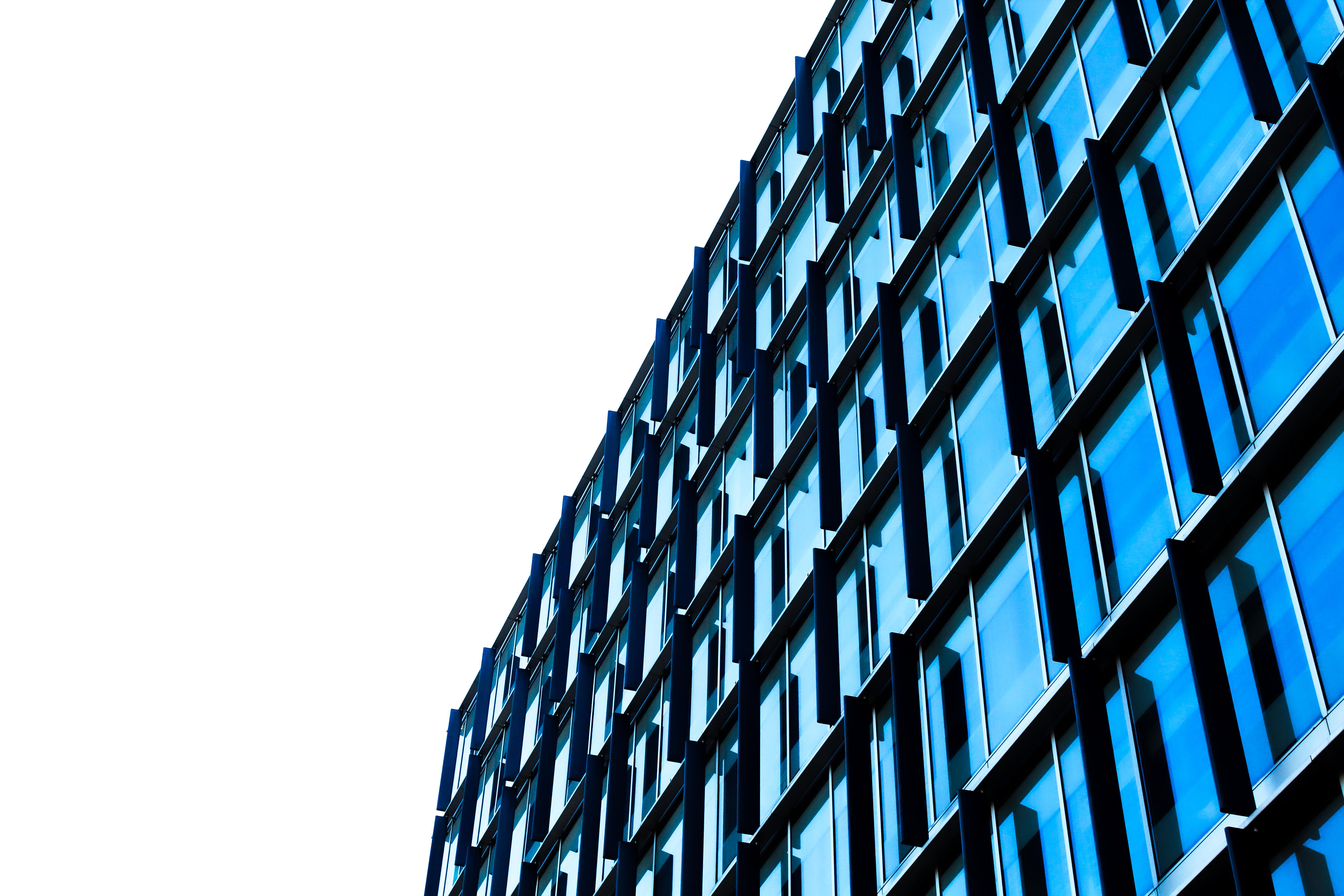 3521bf50-8777-4357-82f1-a87c98700e23.jpeg