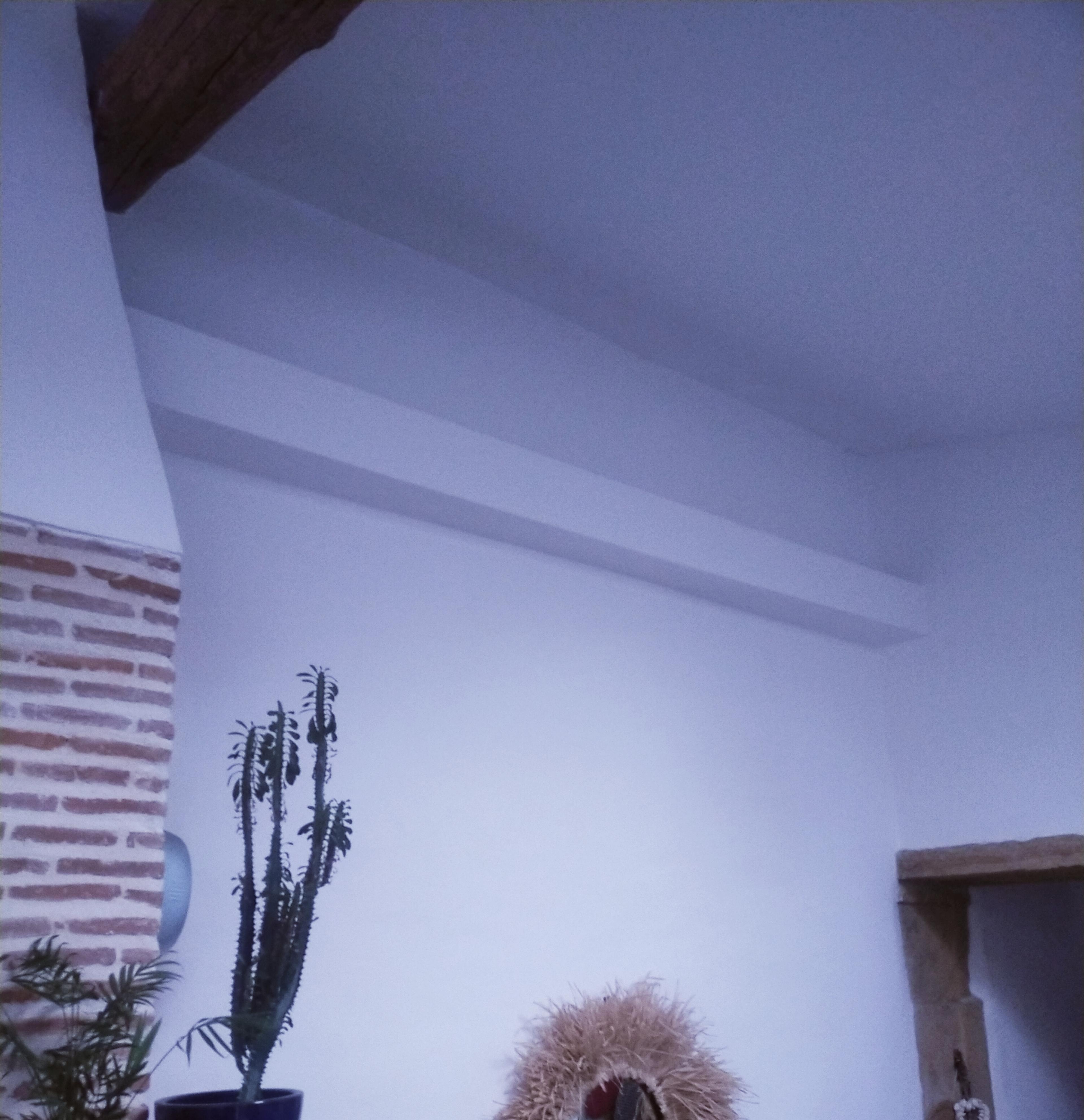 353f945f-822a-480d-be3f-c14fe3cc1493.jpeg