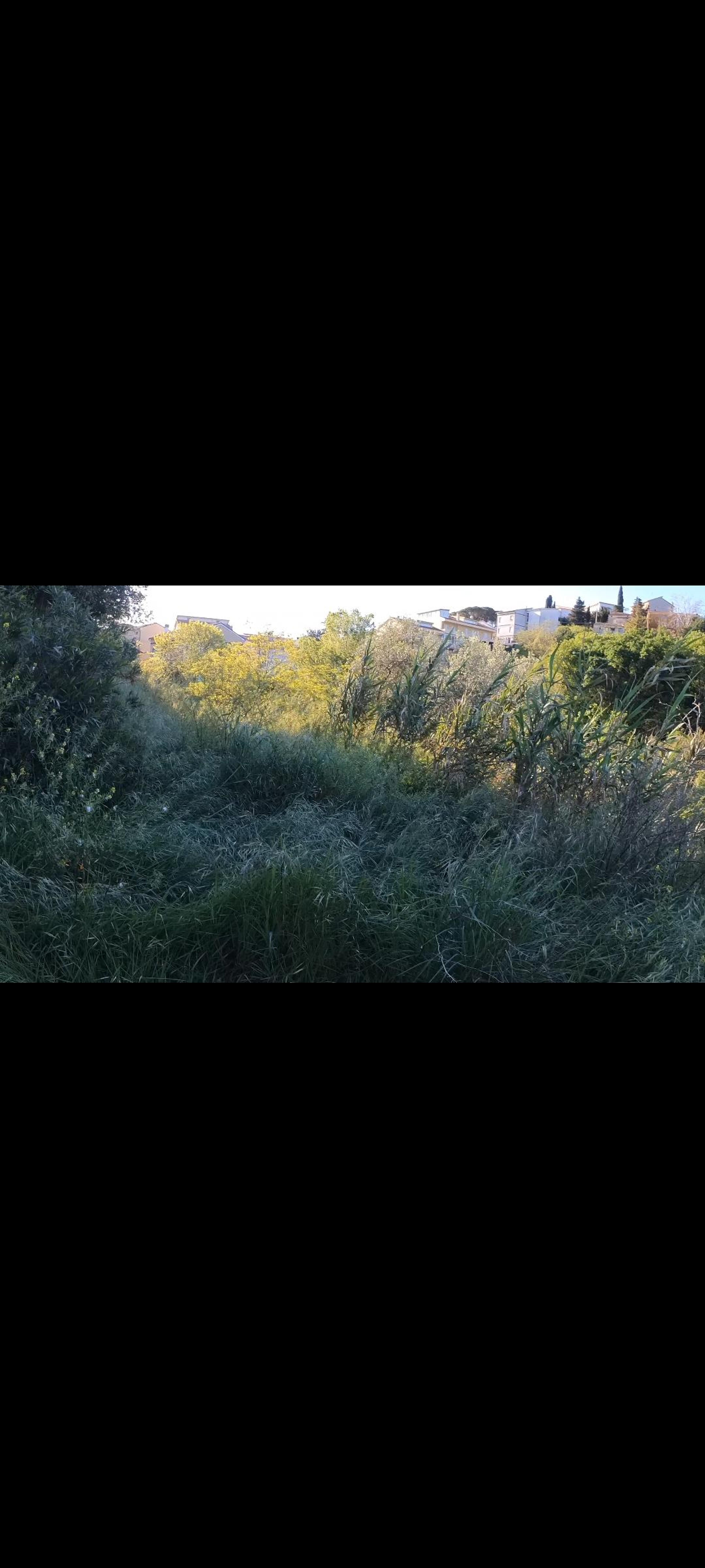 354c664d-4781-44e3-af18-ee715e72b9e7.jpeg