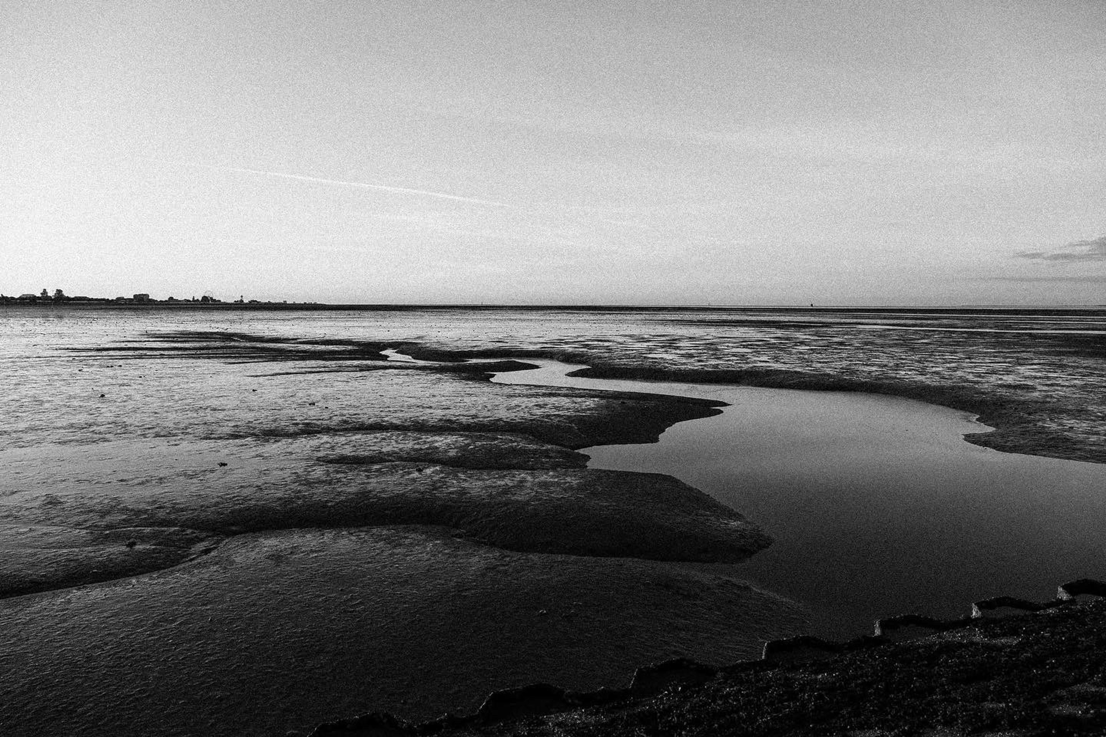 35c0319d-64e5-4e8d-b893-d2a78754f9d8.jpeg