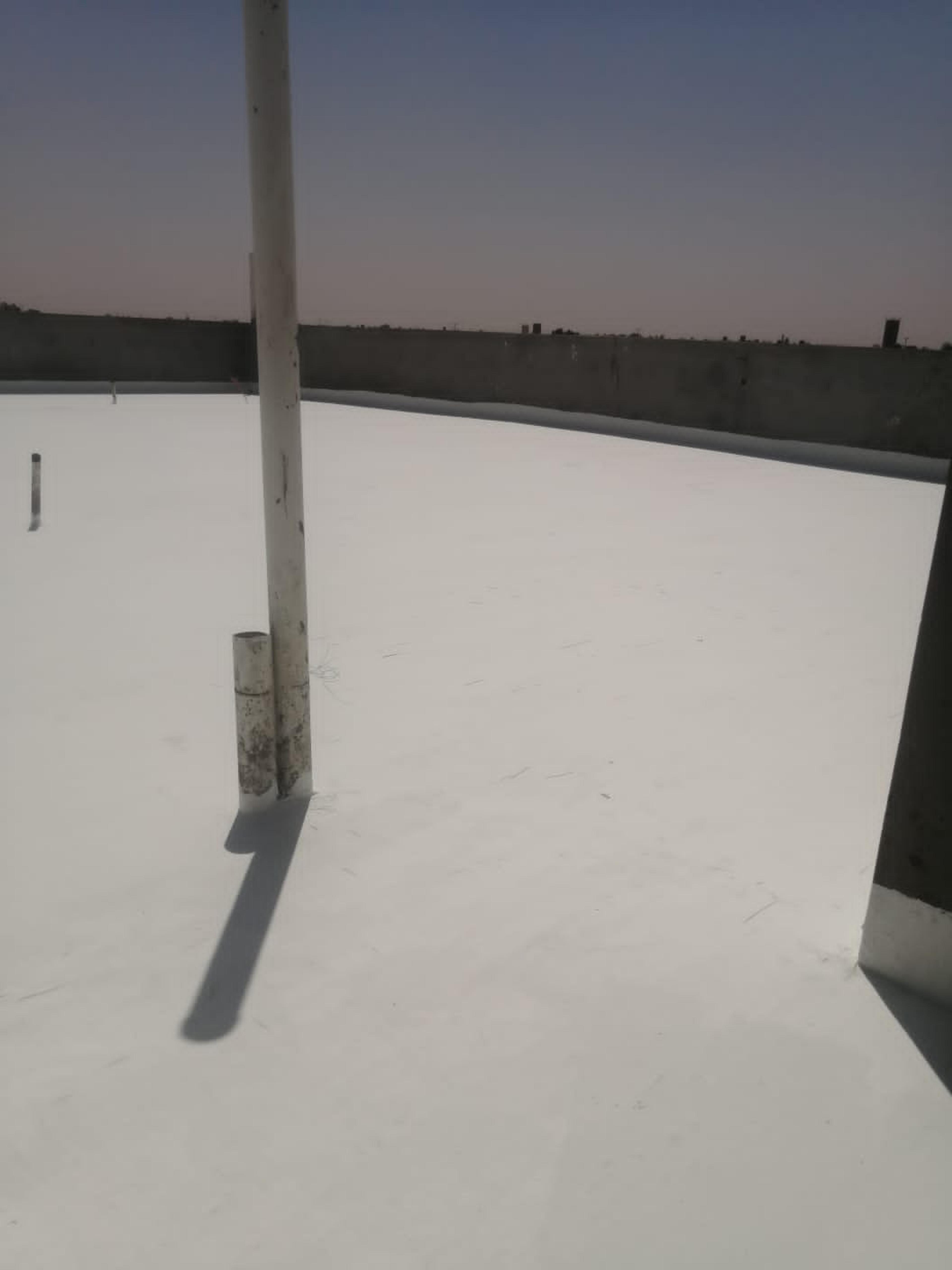 3637db68-d04f-459b-aa3a-c06ed4a827b4.jpeg