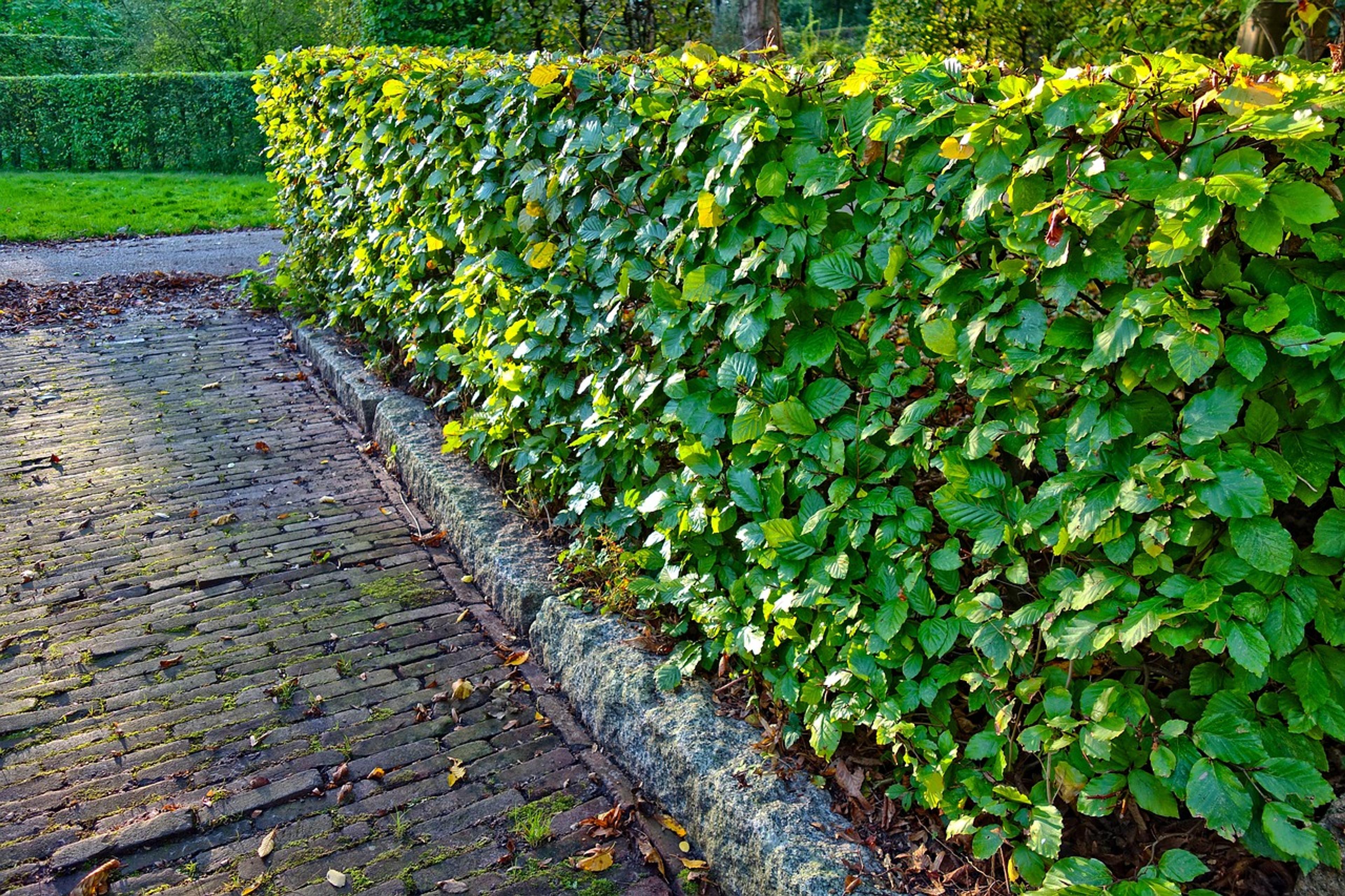 365943df-d0c2-4798-b71e-9df239ce307a.jpeg