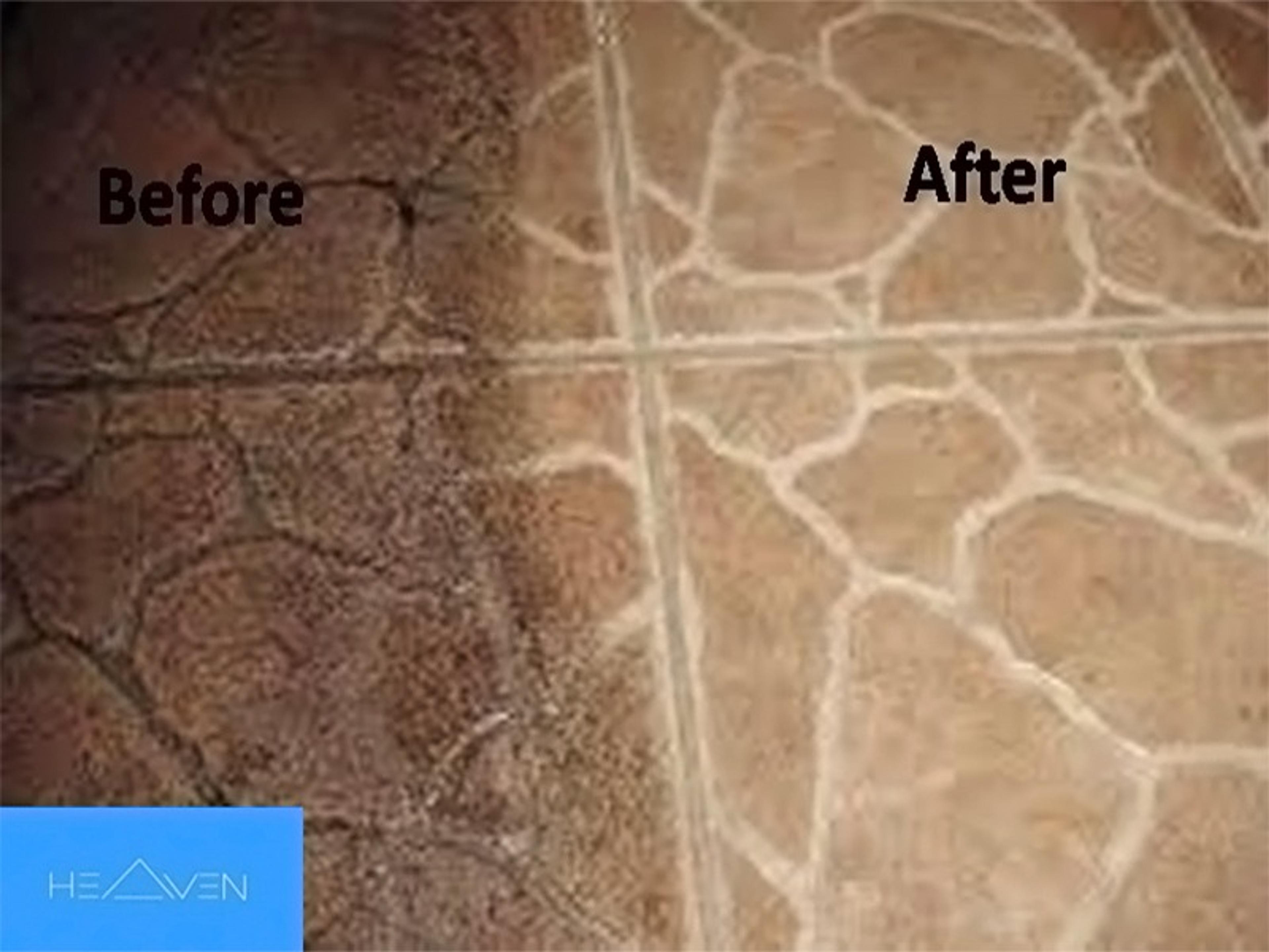 367ad397-94e3-46a0-a3c9-6bd7e540b728.jpg