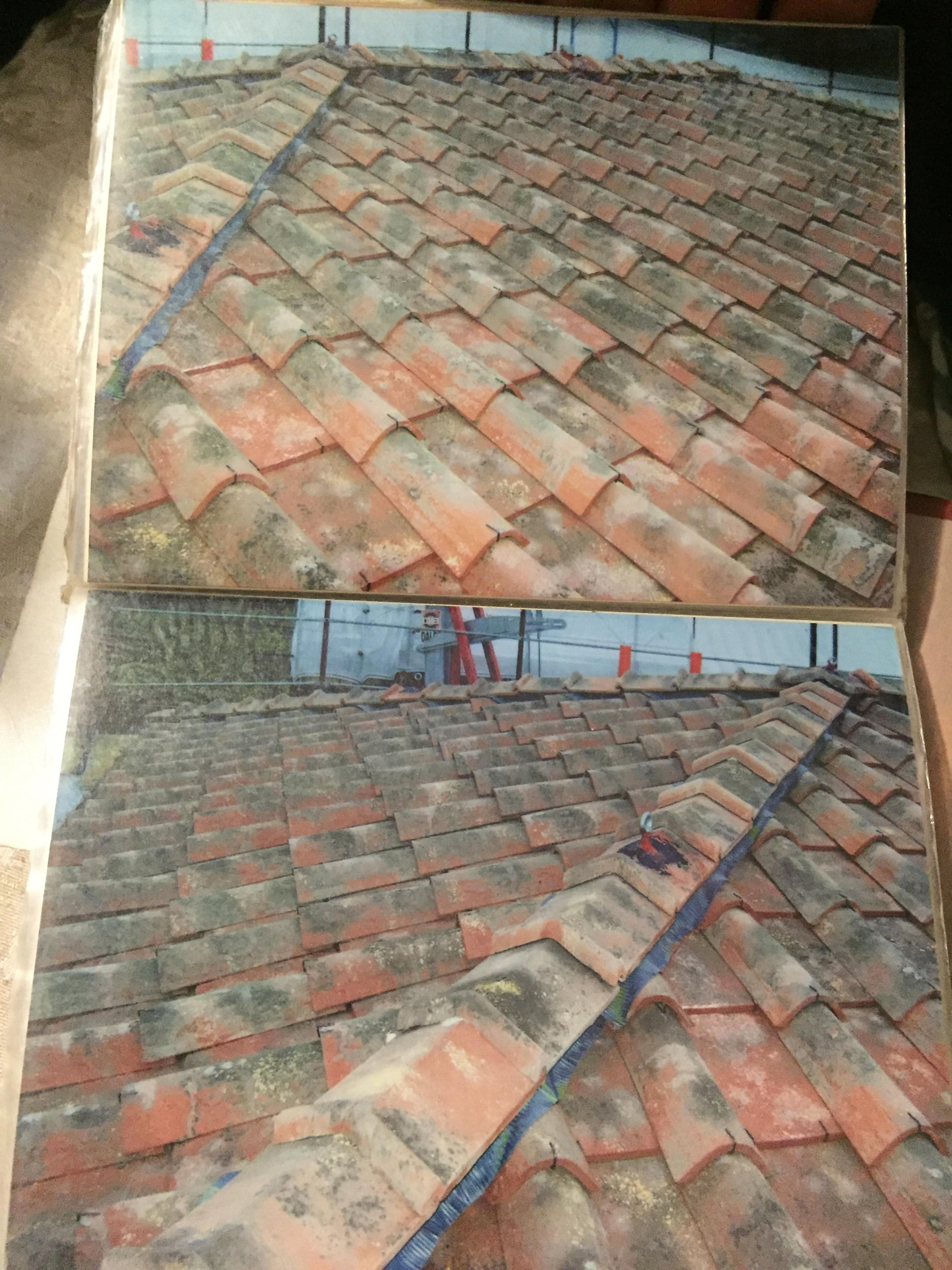 36866abf-53f2-4347-a190-d73edc3ba001.jpeg