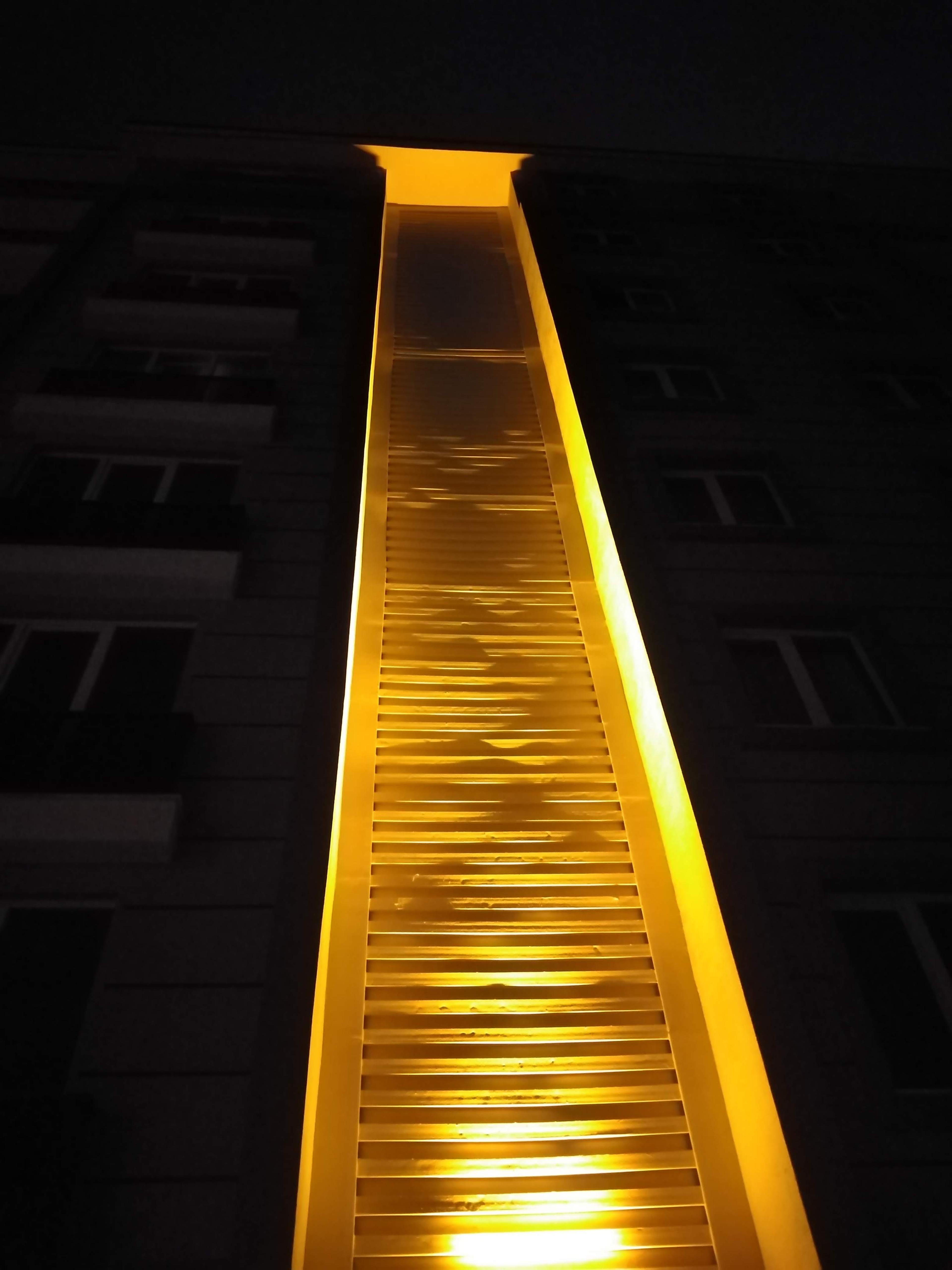 36aee620-4e7e-454f-8783-411aa7ed58bc.jpeg