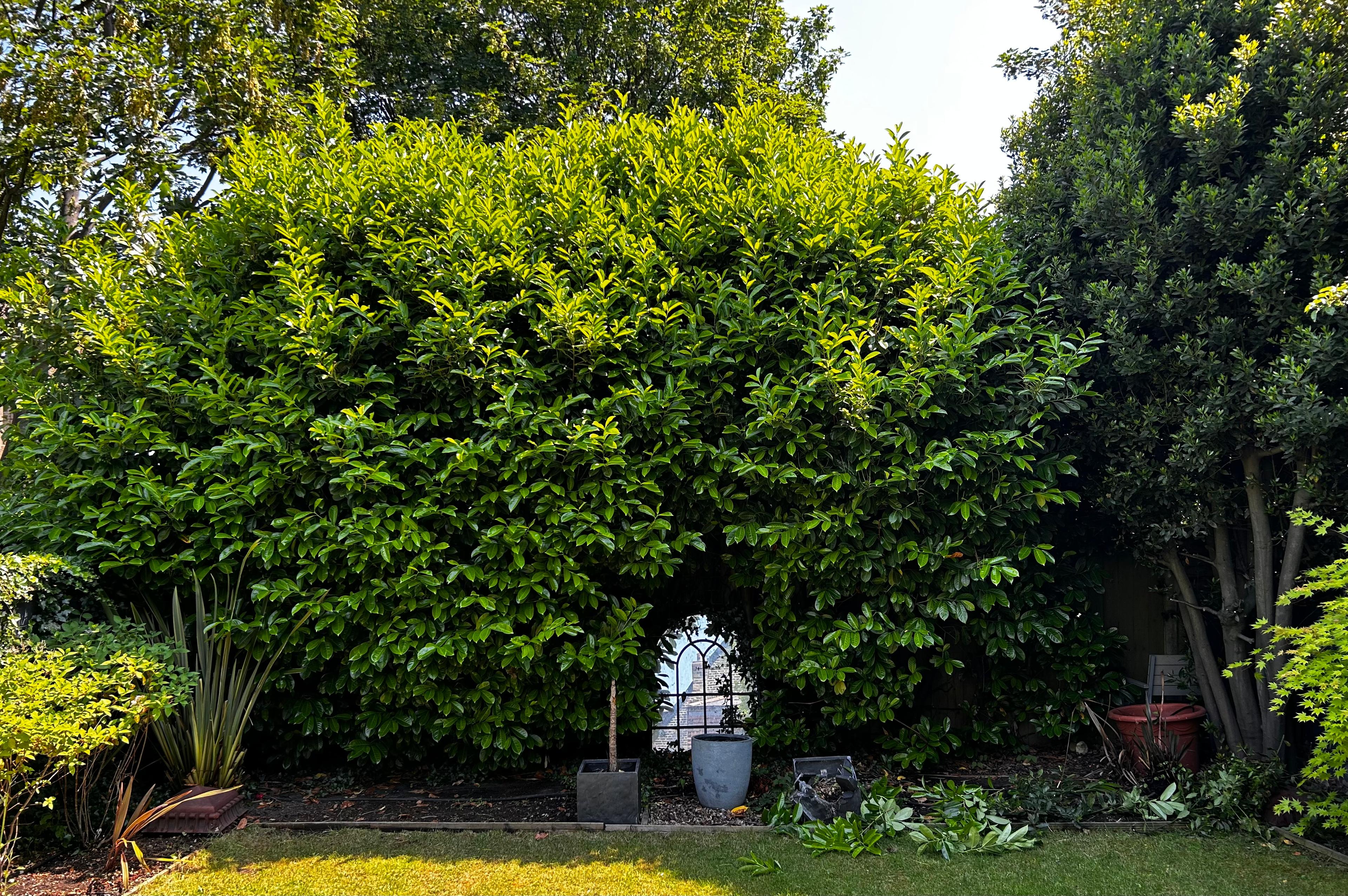 372cf2bf-d5cc-4ccd-9060-c971f6df2f50.jpeg