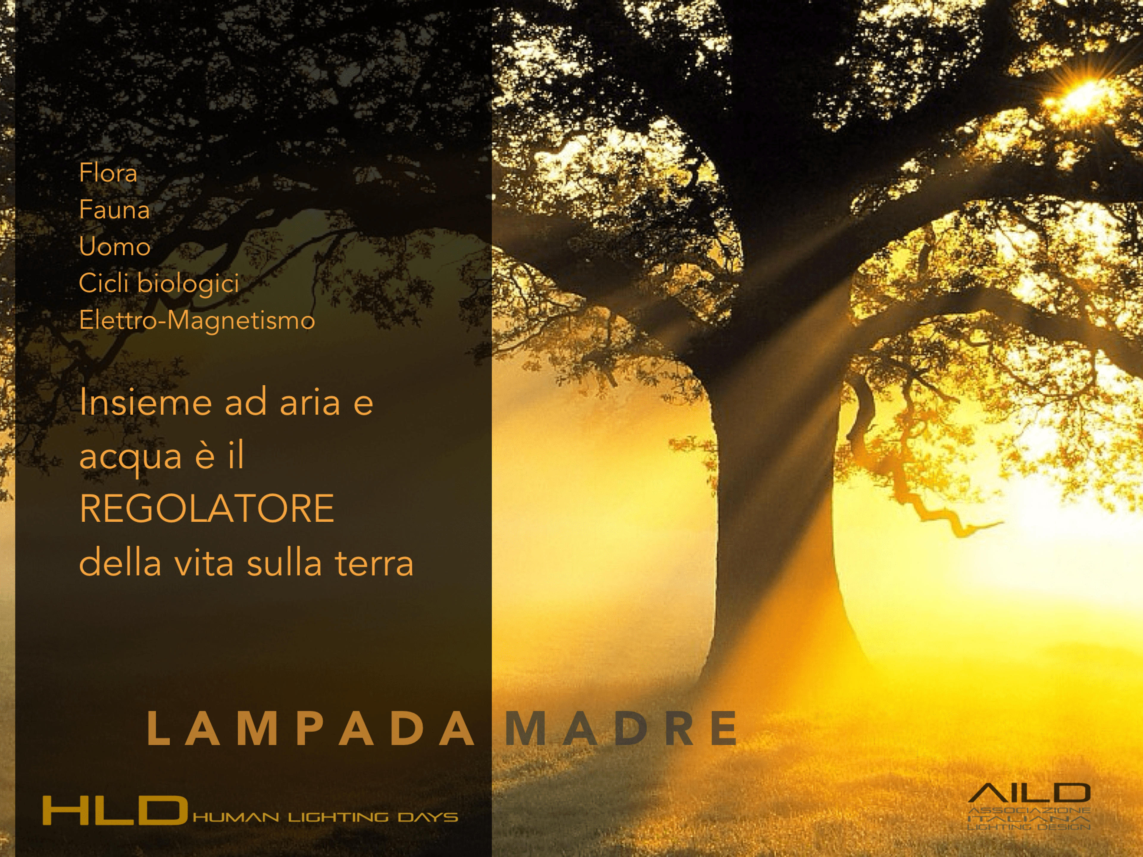 3839b26b-56e2-42fc-8263-f8575606ab44.png