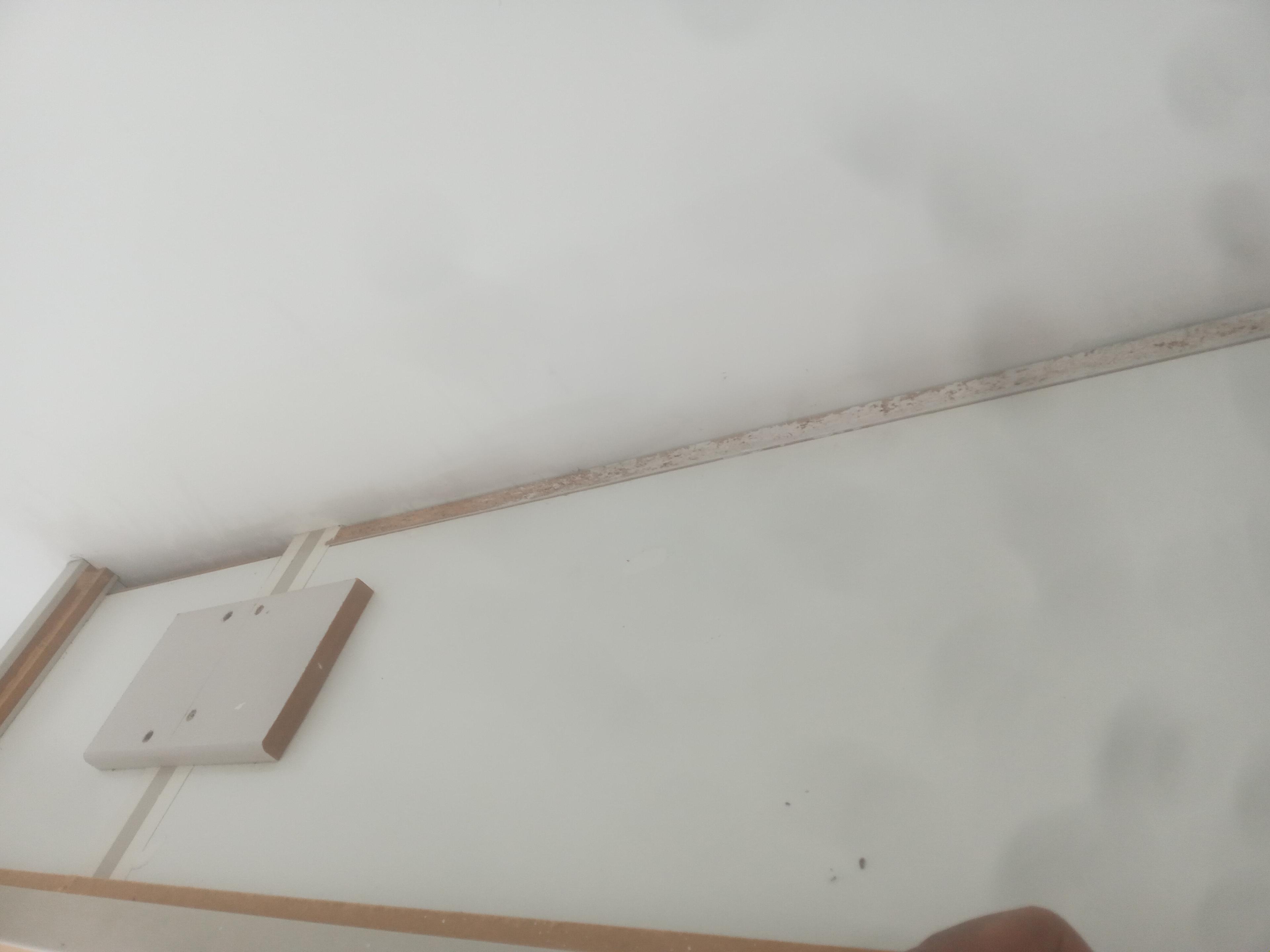 38d60f8b-d8e8-4727-a6f4-eb1c64852bd4.jpeg