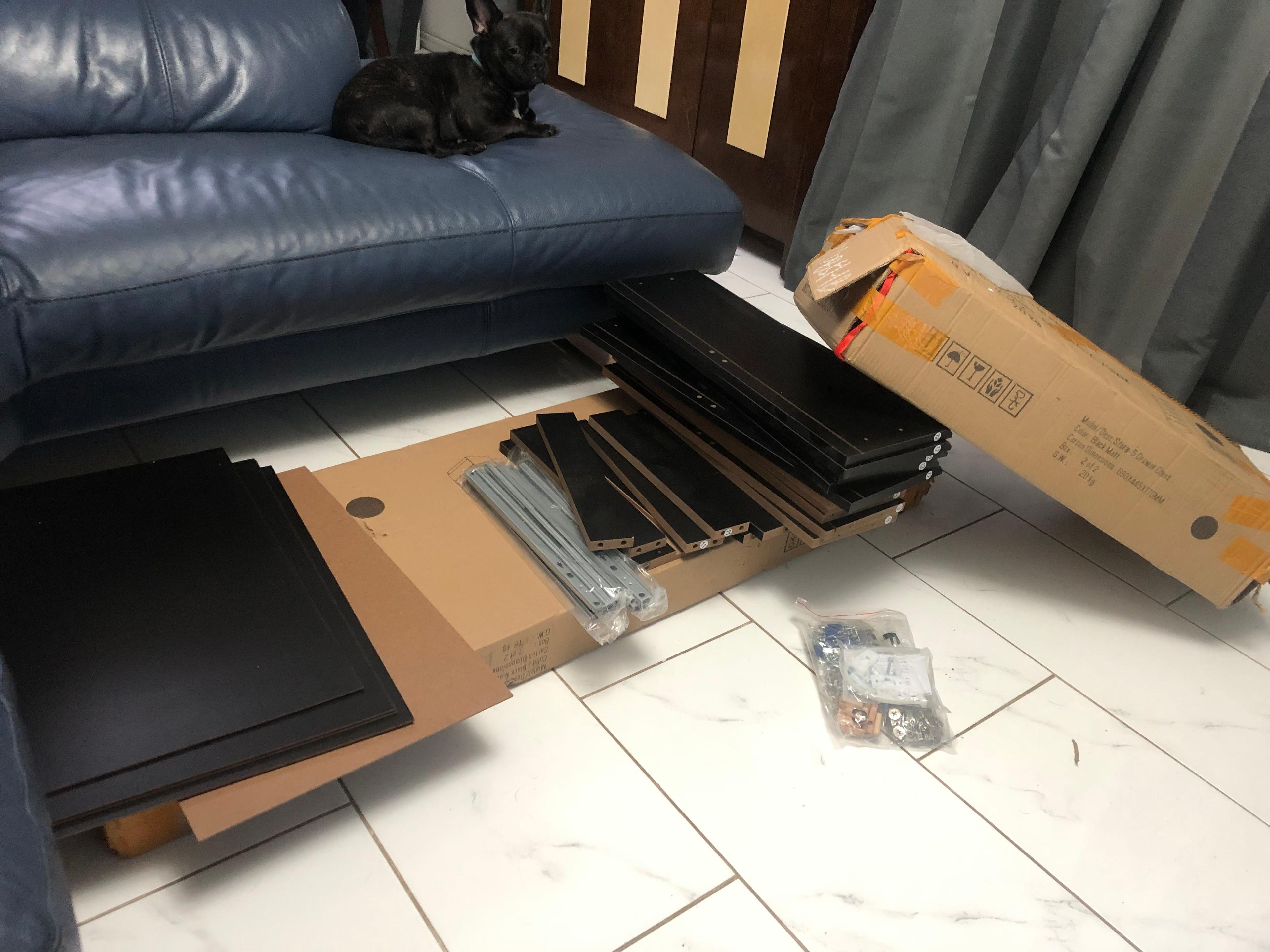 38f176d8-c2a6-40f6-85a2-f3629e224411.jpeg