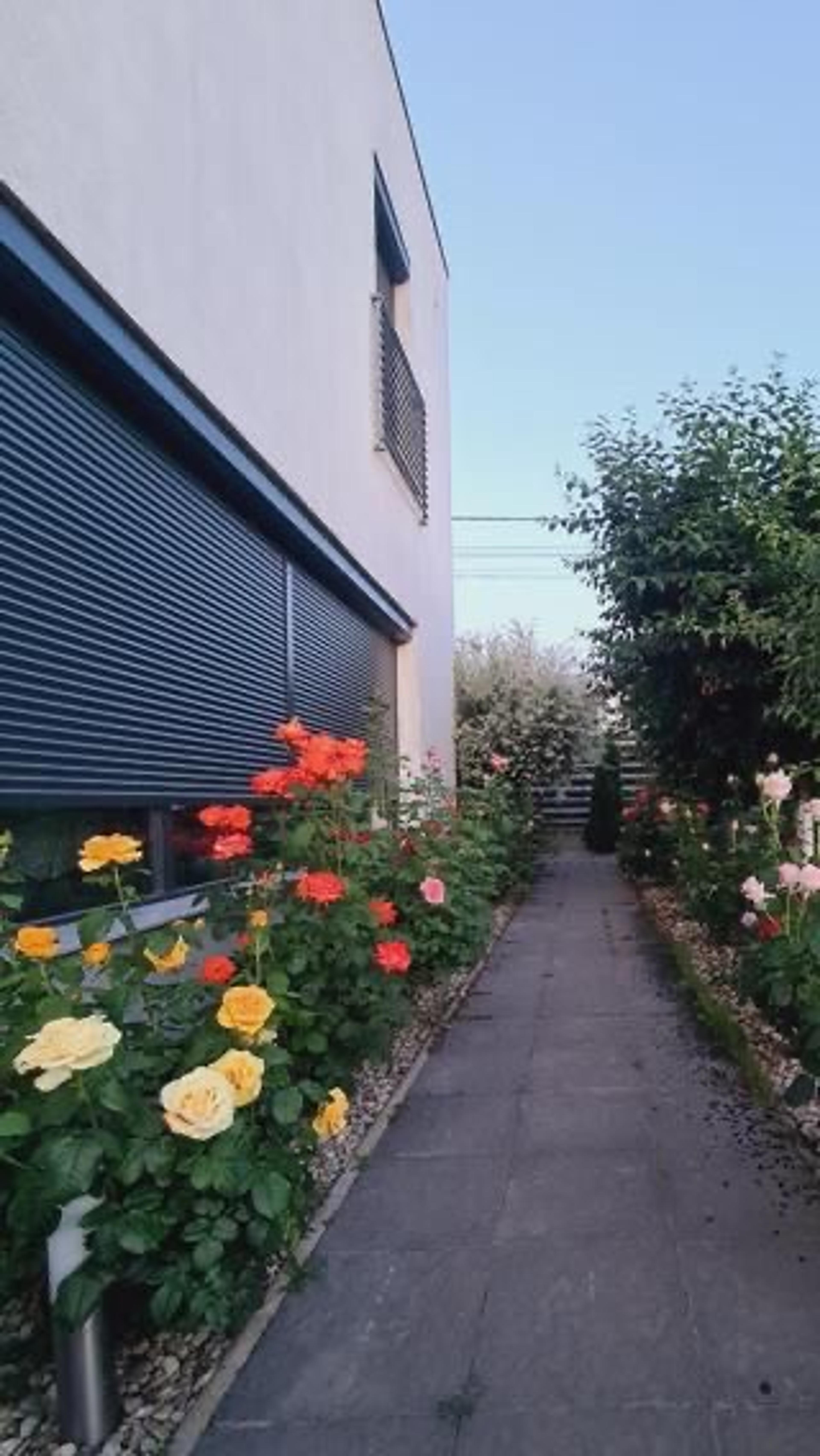 3903abc2-9ab6-4aa3-b77a-360c7fc259cc.jpeg