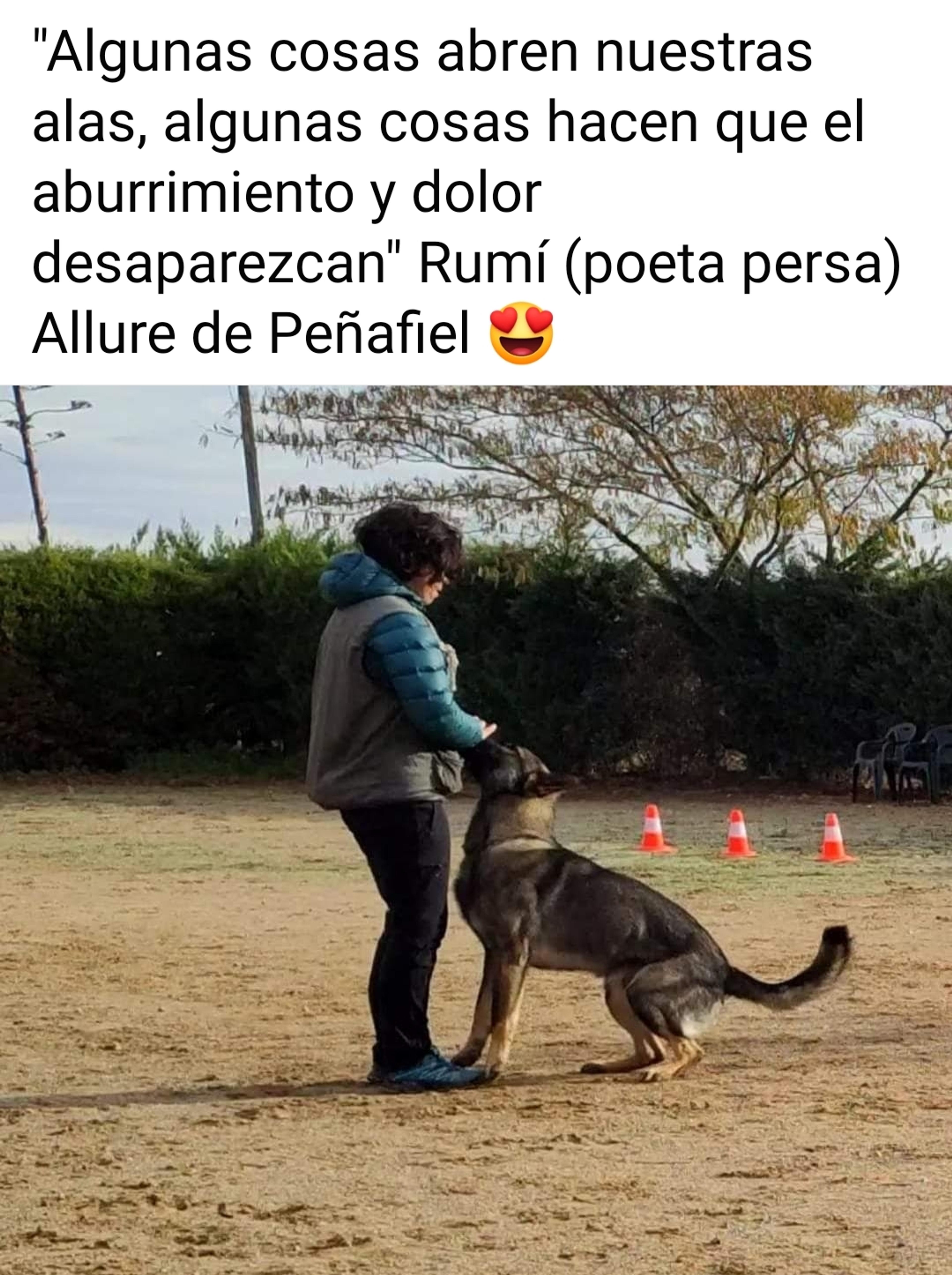 3935f69f-86f7-4d8a-b77c-acd91d18303d.jpeg