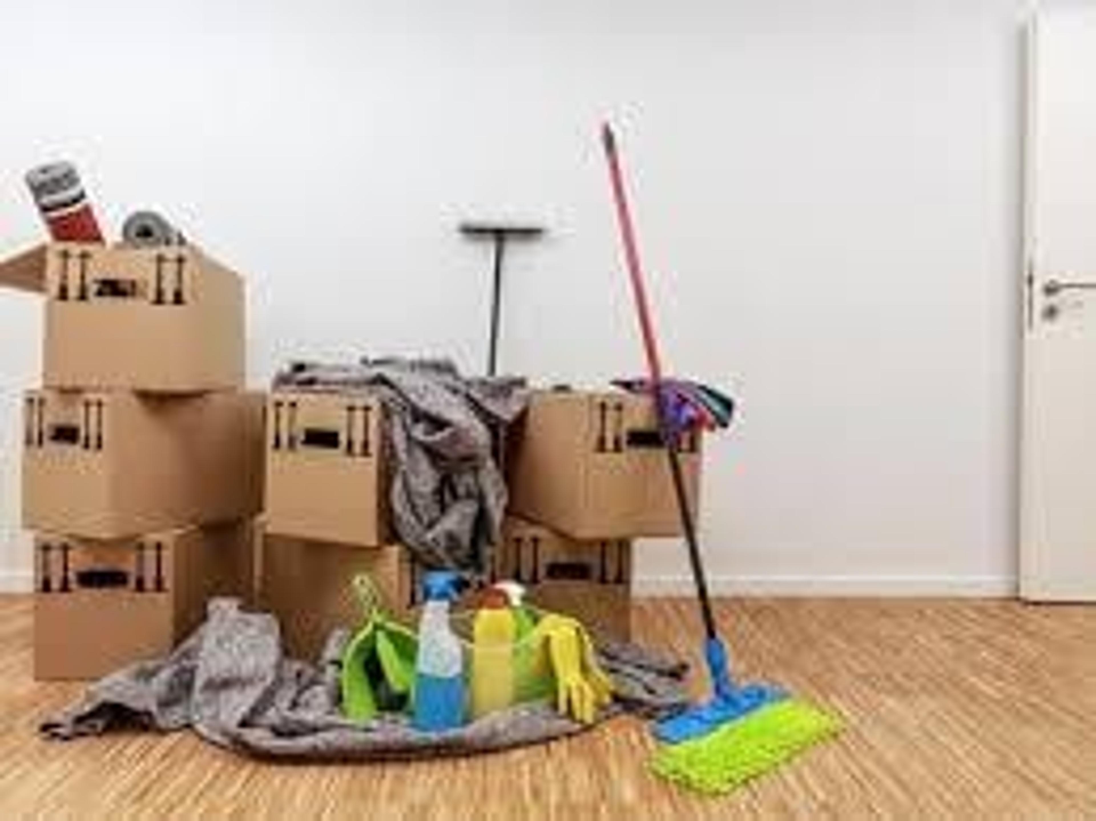 398bceed-ecca-48e2-956d-bb833bbd3f10.jpeg