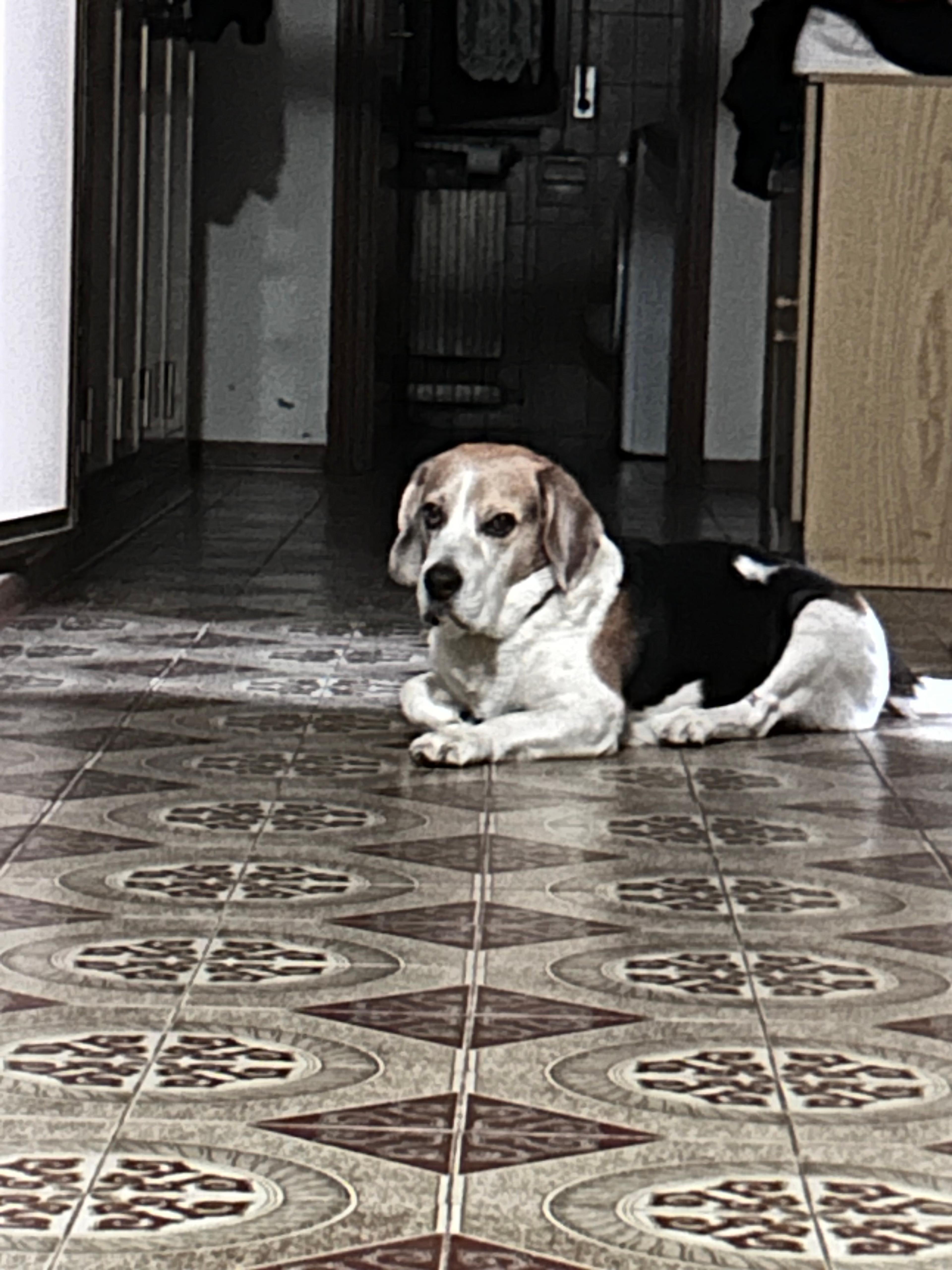 3a4035e6-4d51-442c-904a-bdf221925db7.jpeg