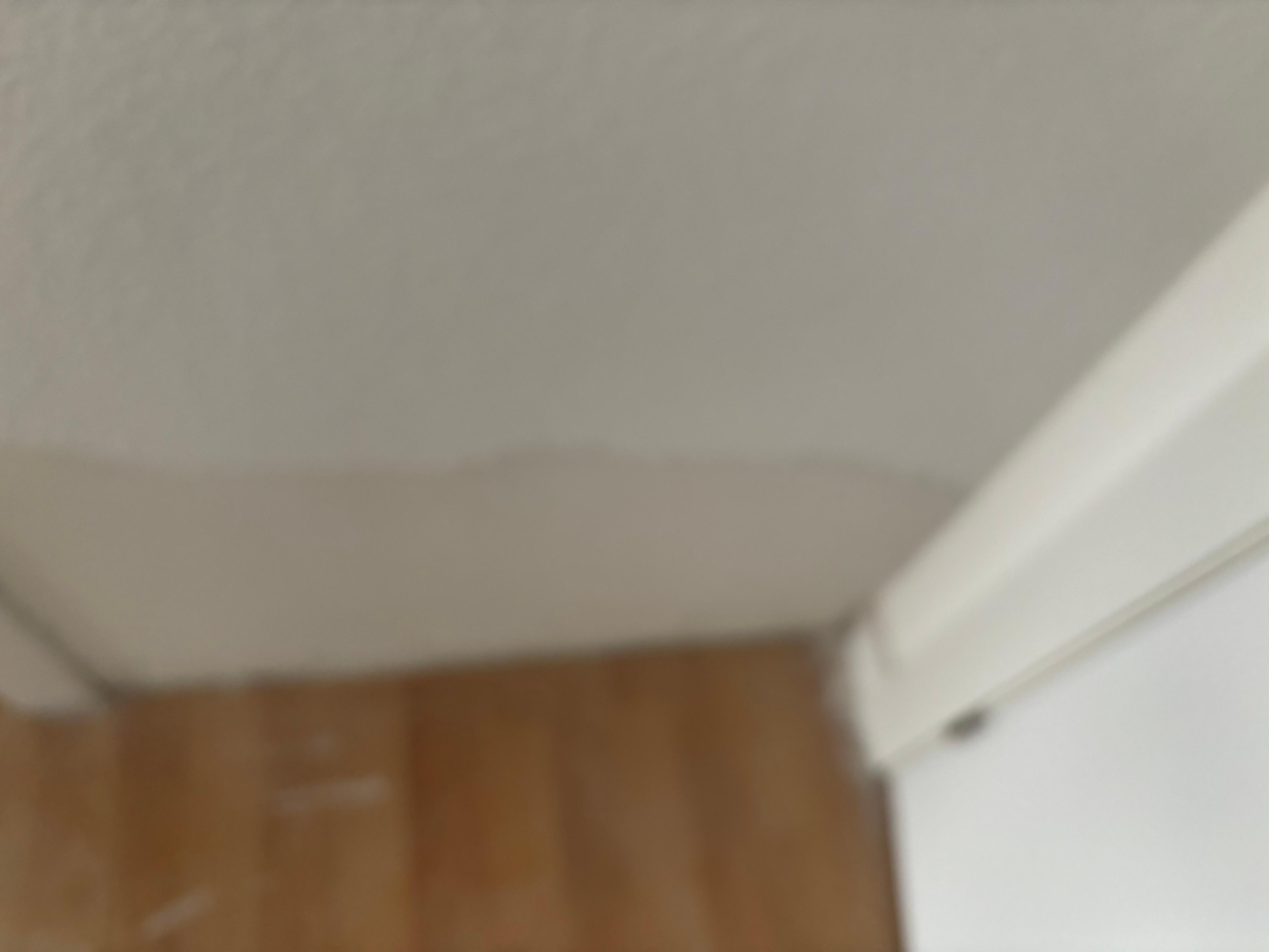 3a48a84e-6155-4171-a6ec-c0430d8a48c6.jpeg