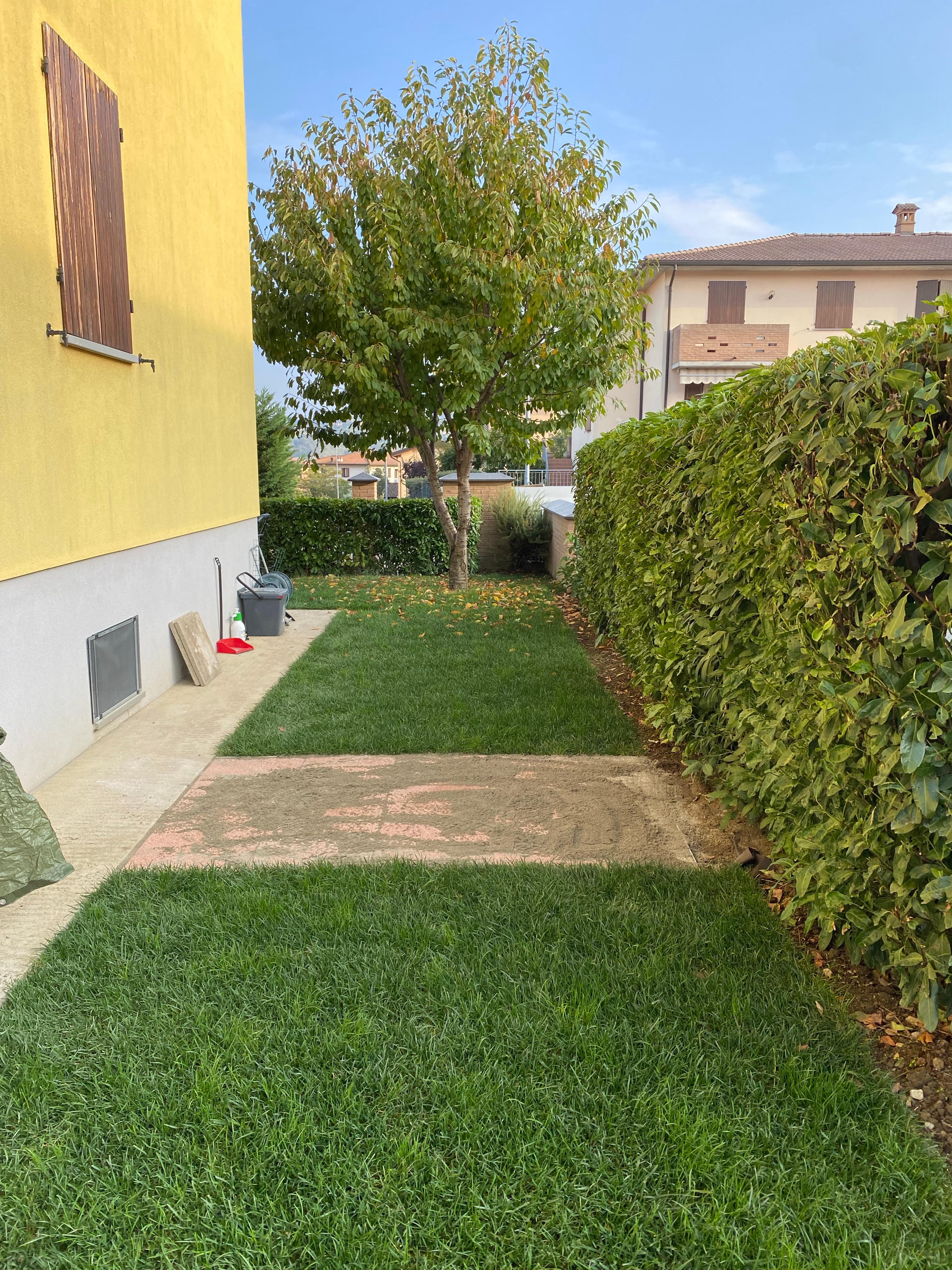 3a5d4ba2-d1e4-470d-a064-6055df07171d.jpeg