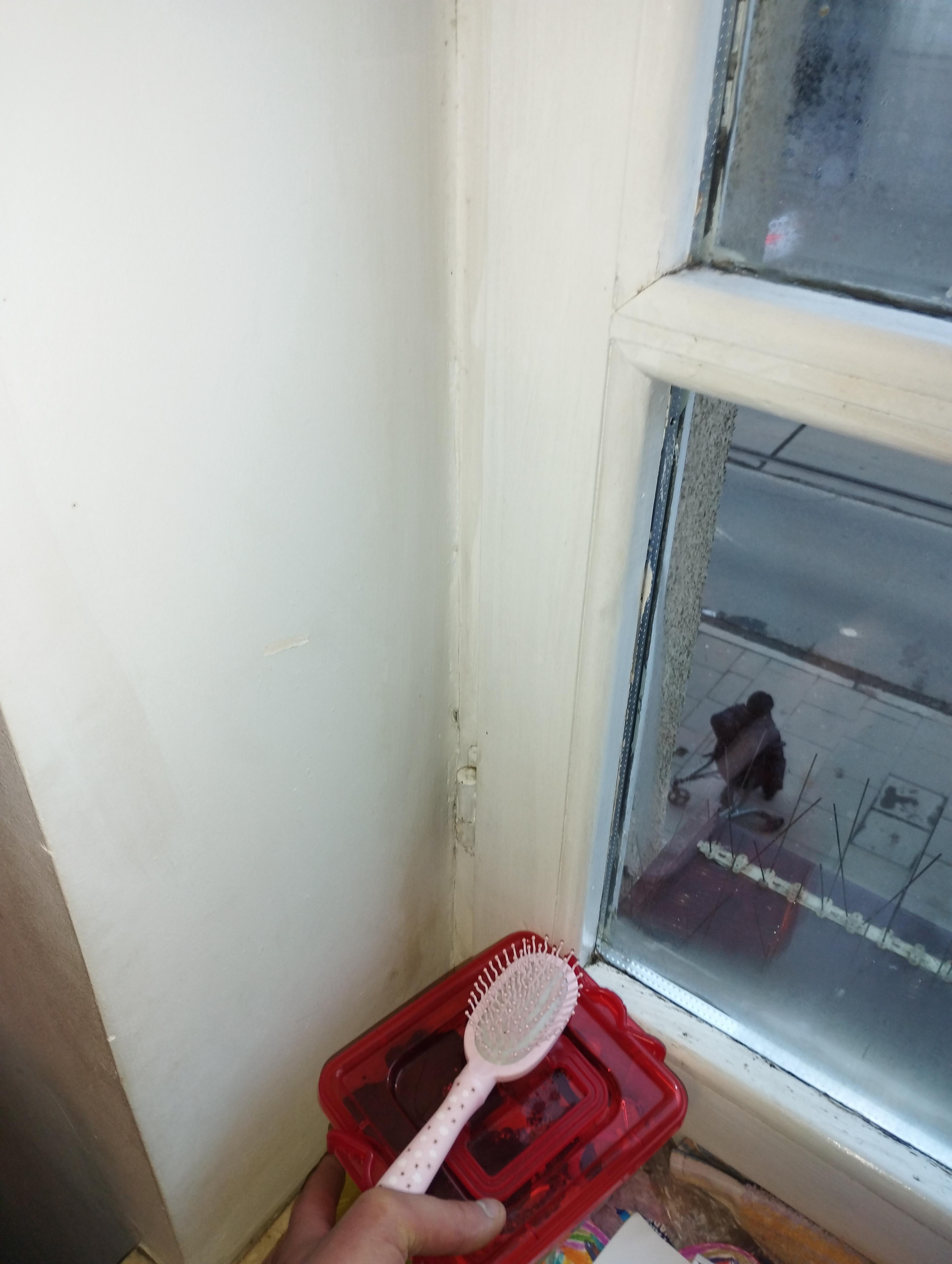 3a802bb7-e664-4d88-a885-9df5817c1378.jpeg