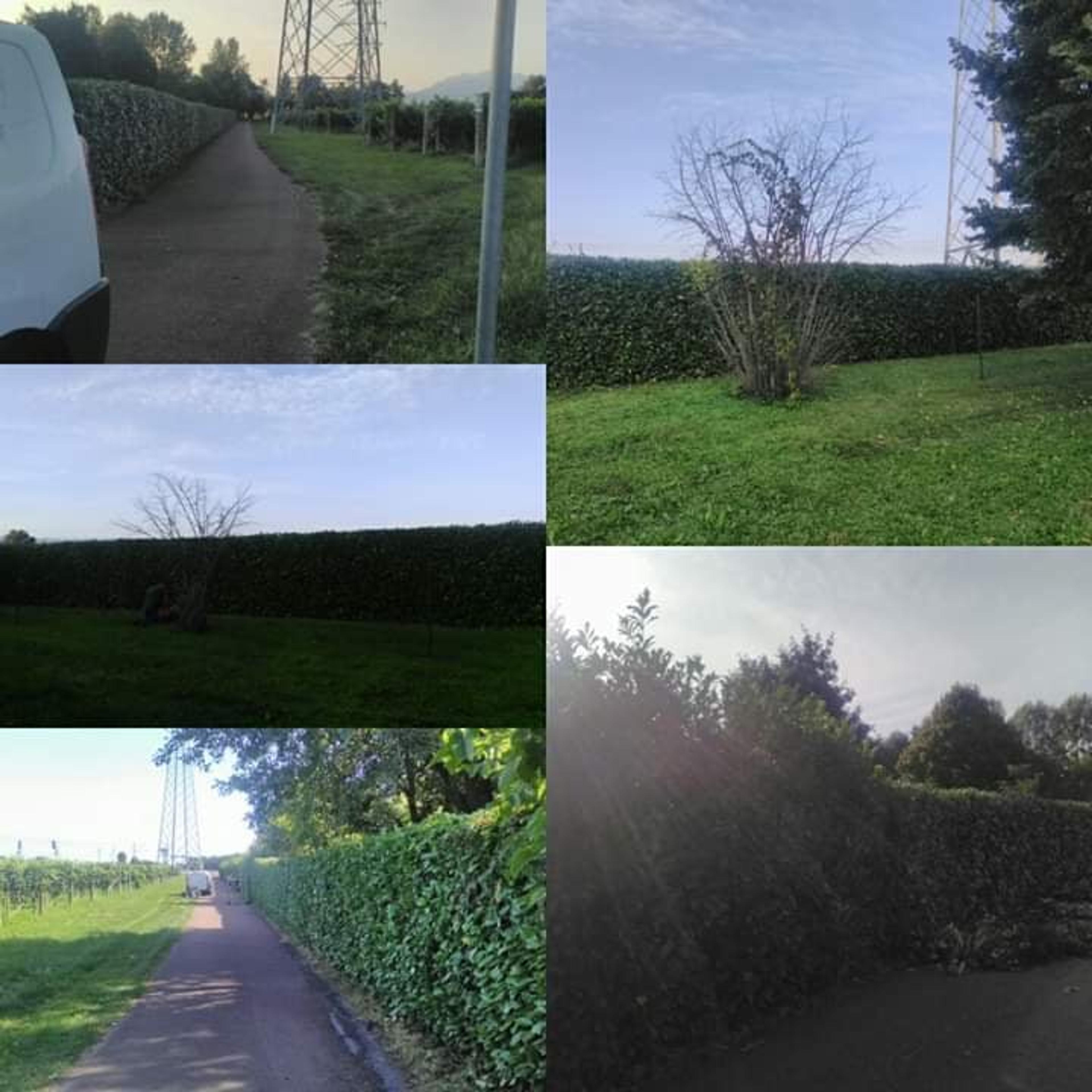 3aadfa5f-743e-4b13-9d23-4ccfc272cfac.jpeg