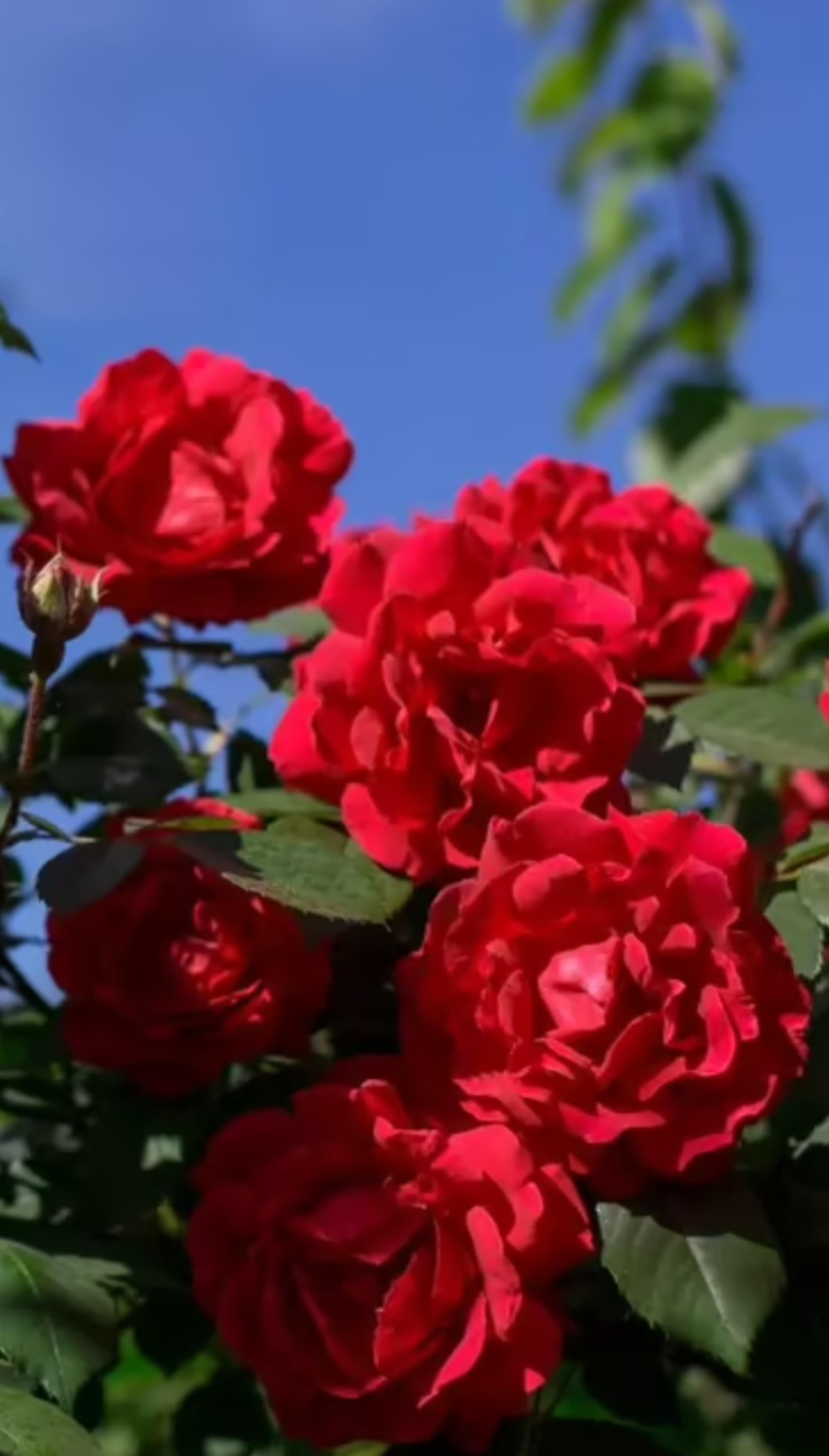 3b02102f-9ab9-4e8c-b36e-1c125ebdc896.jpeg