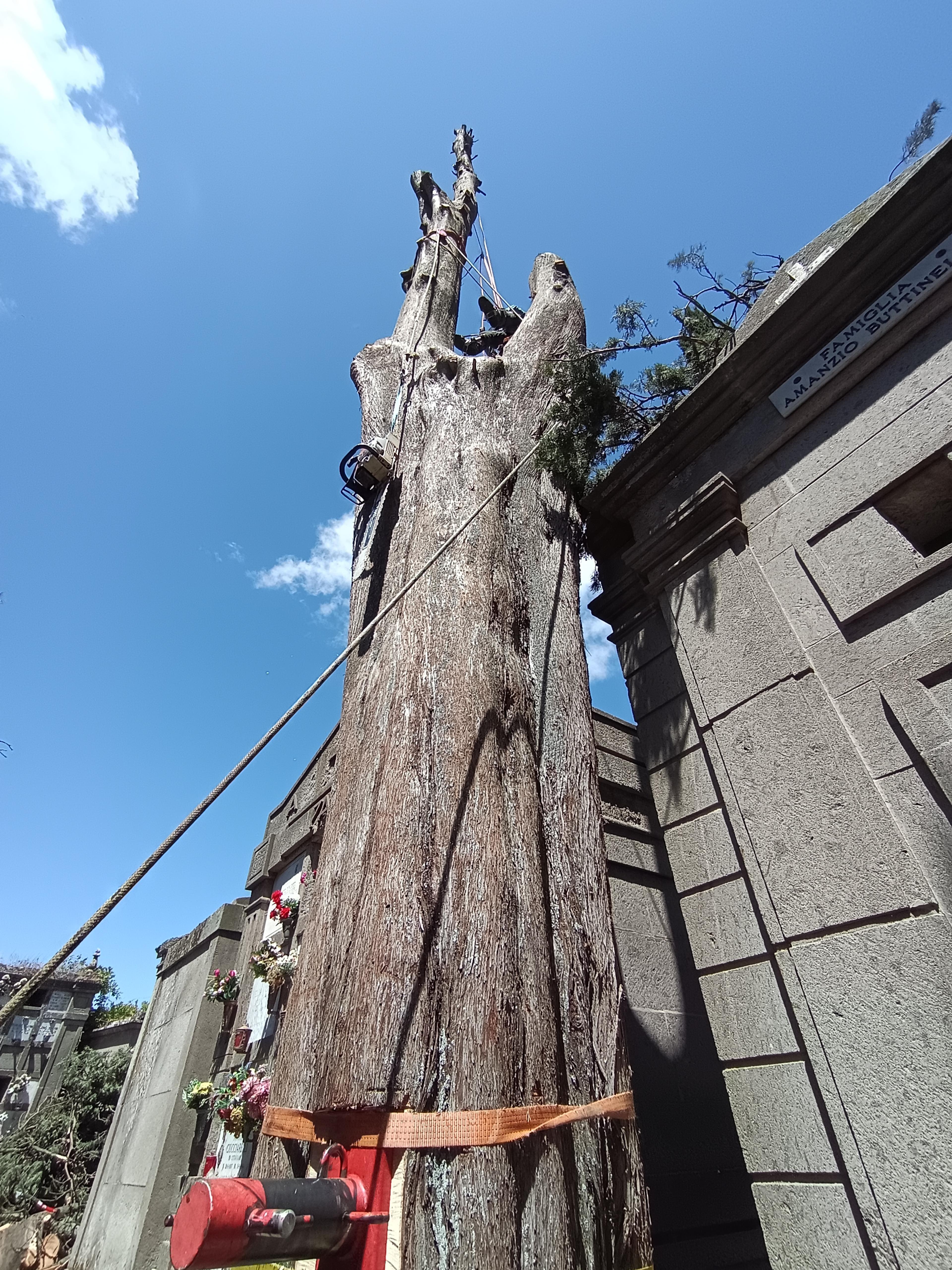 3b07004b-7604-4f72-a78e-76cbe9788f3e.jpeg