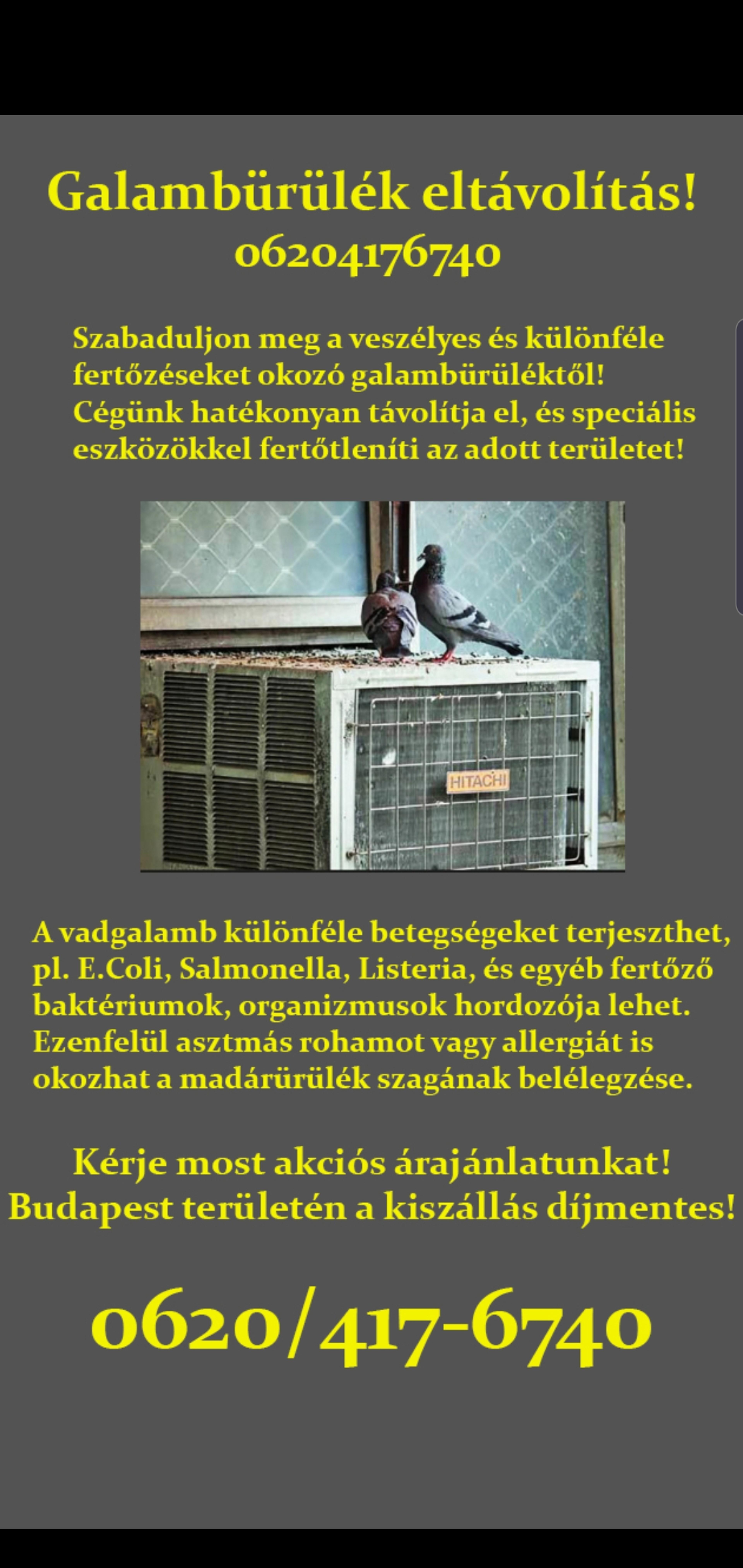 3b17cd22-d4e4-44ba-bd6e-175ecb97d580.jpeg
