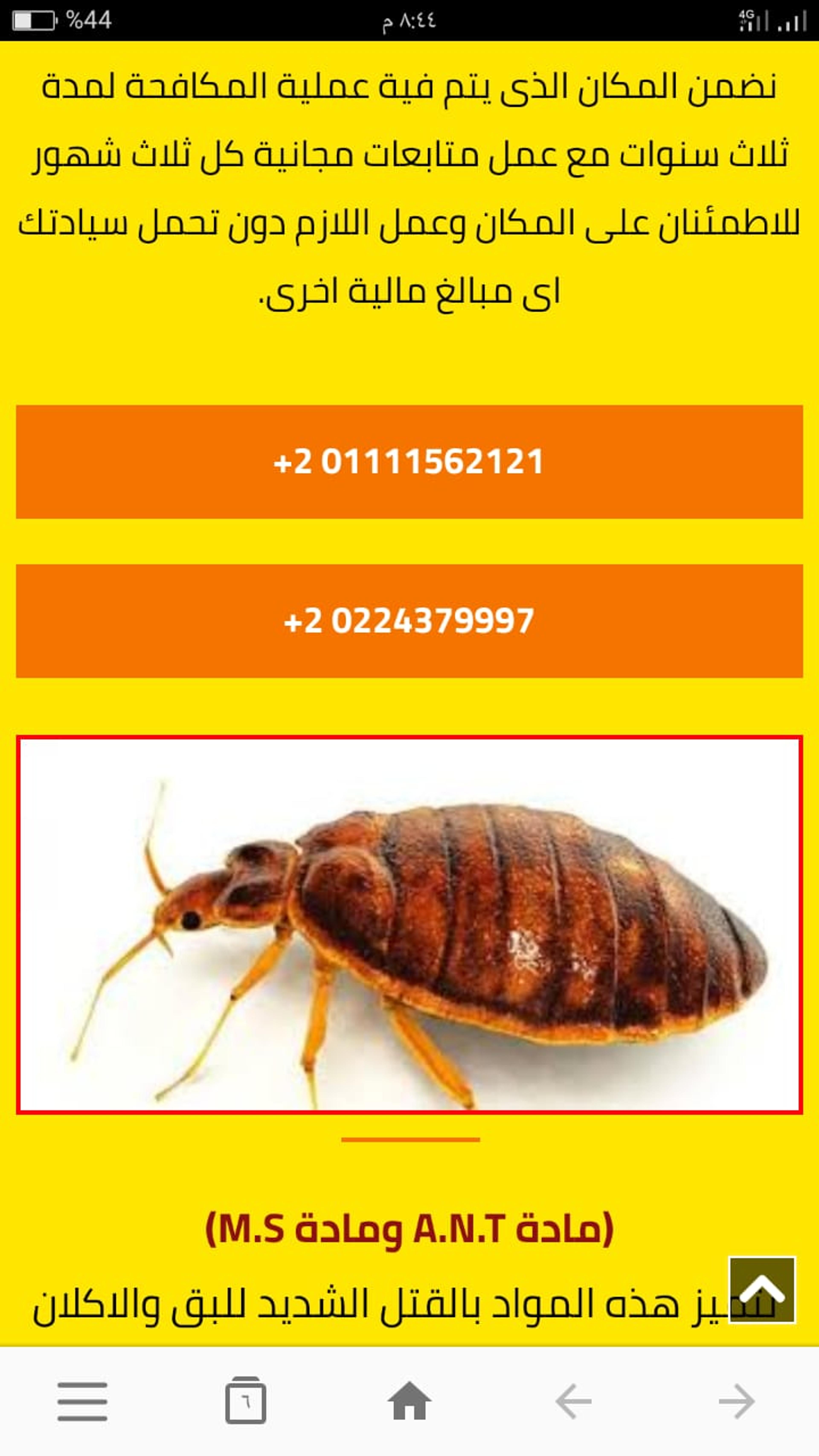 3bb1f40d-b20c-4d86-baf9-27a1246e1075.jpeg