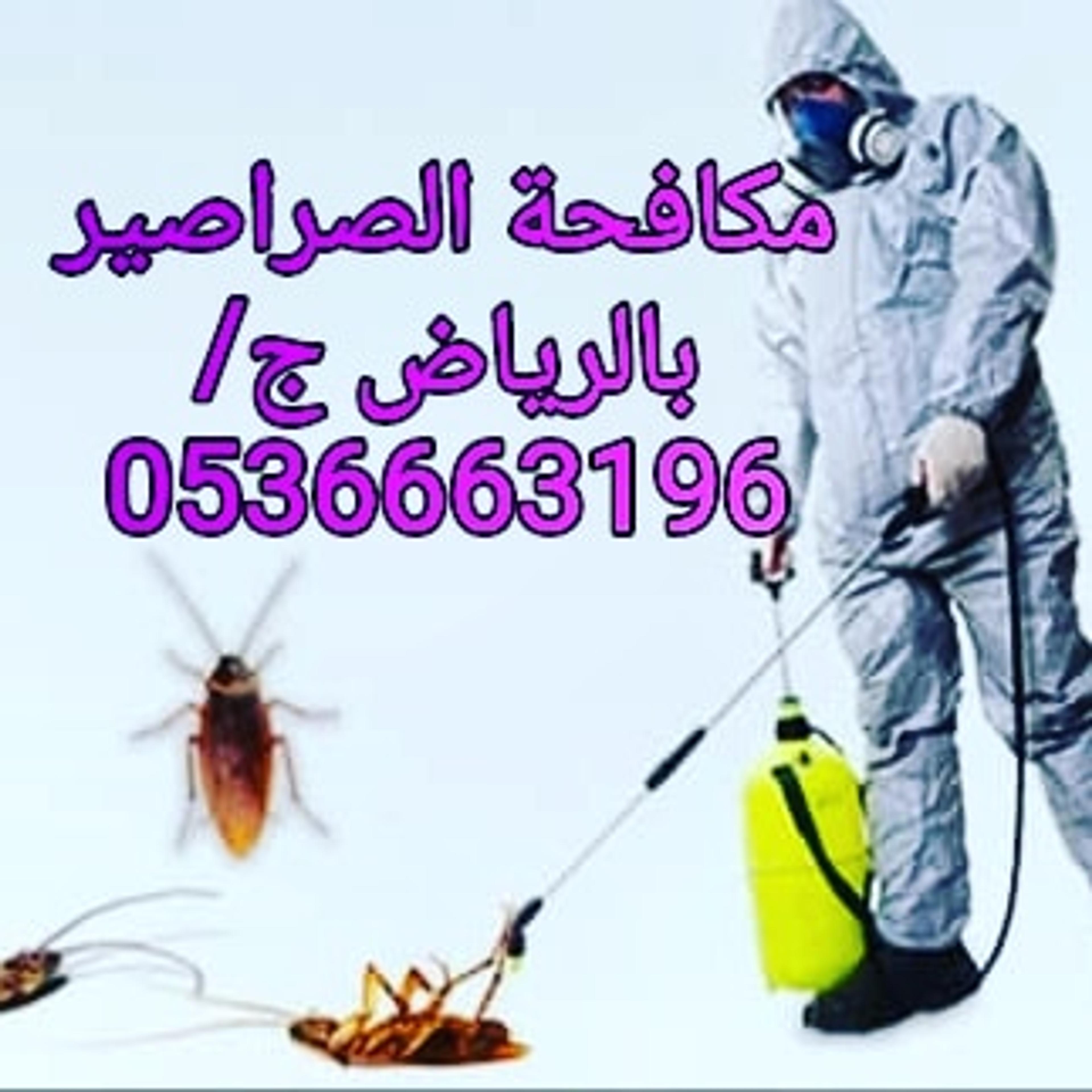 3c6de5ec-3e8f-419b-89ae-269d09162ef9.jpeg