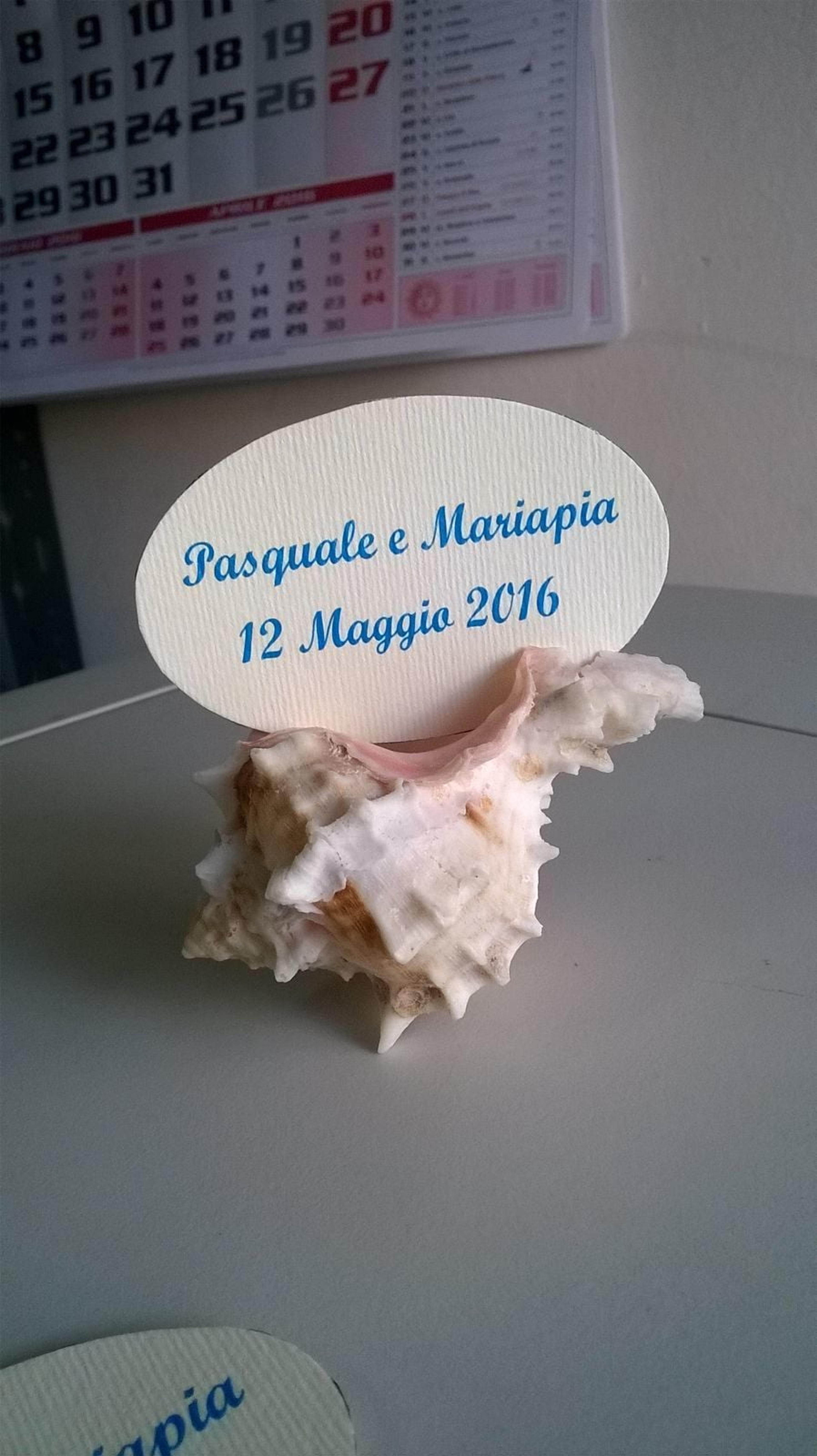 3d42a187-b930-4c0a-8762-29bbe1dd501f.jpg