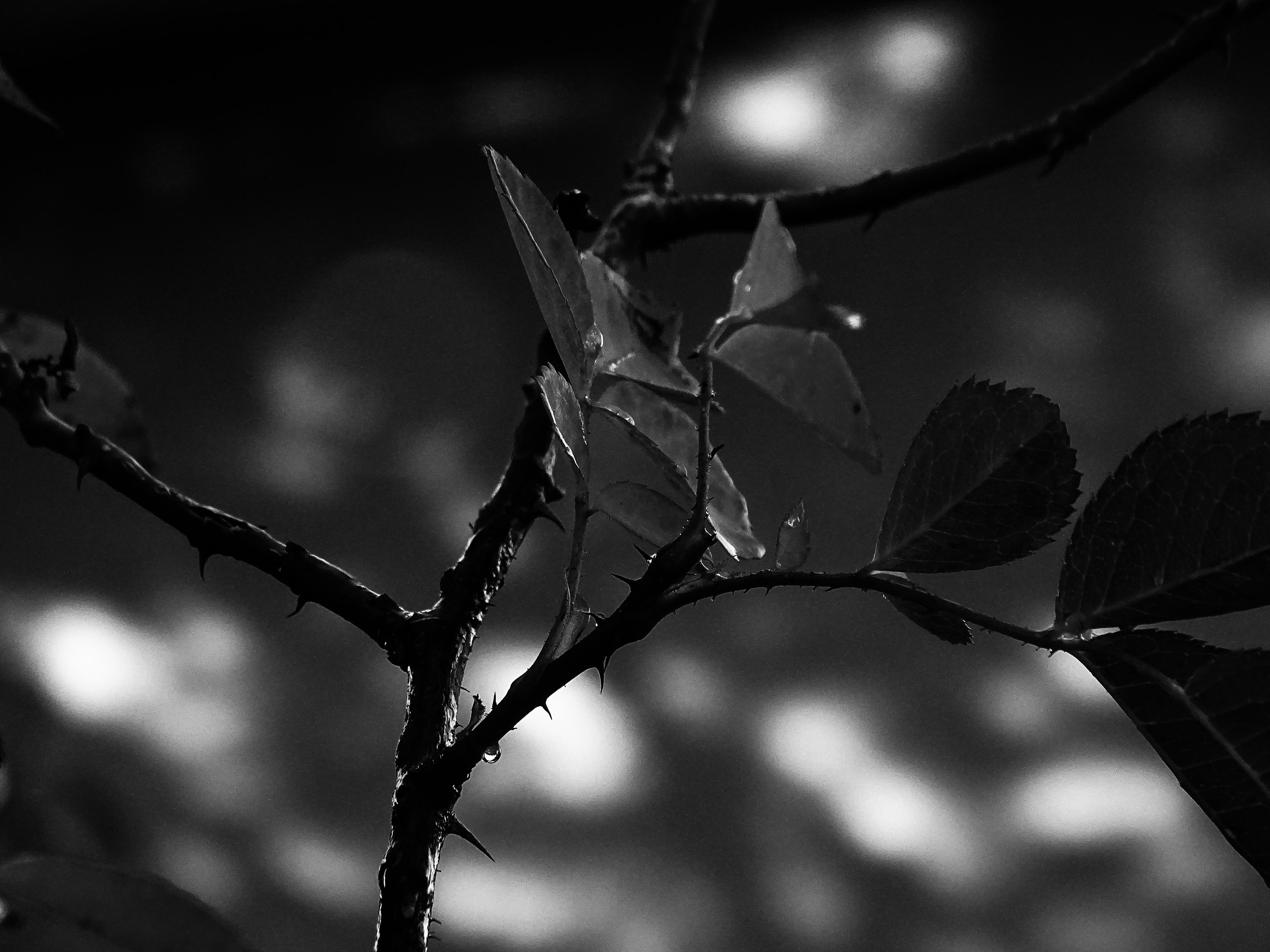 3d856f8b-9b55-4211-8761-6e062f36c494.jpeg