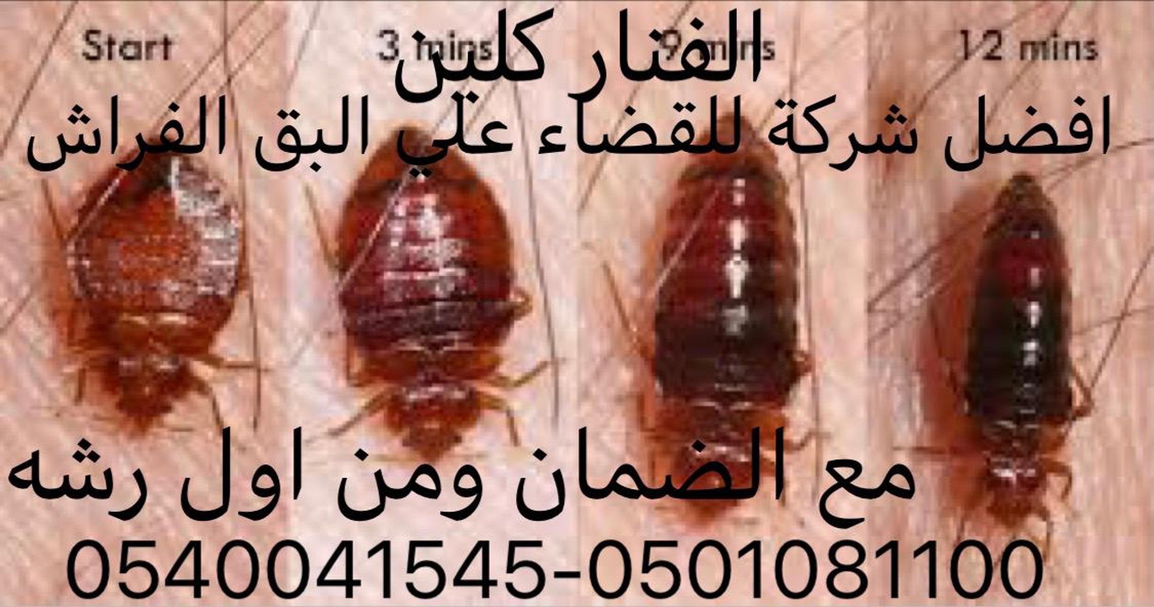 3e7c4f0c-77b7-4829-b623-1adce8a4ade7.jpeg