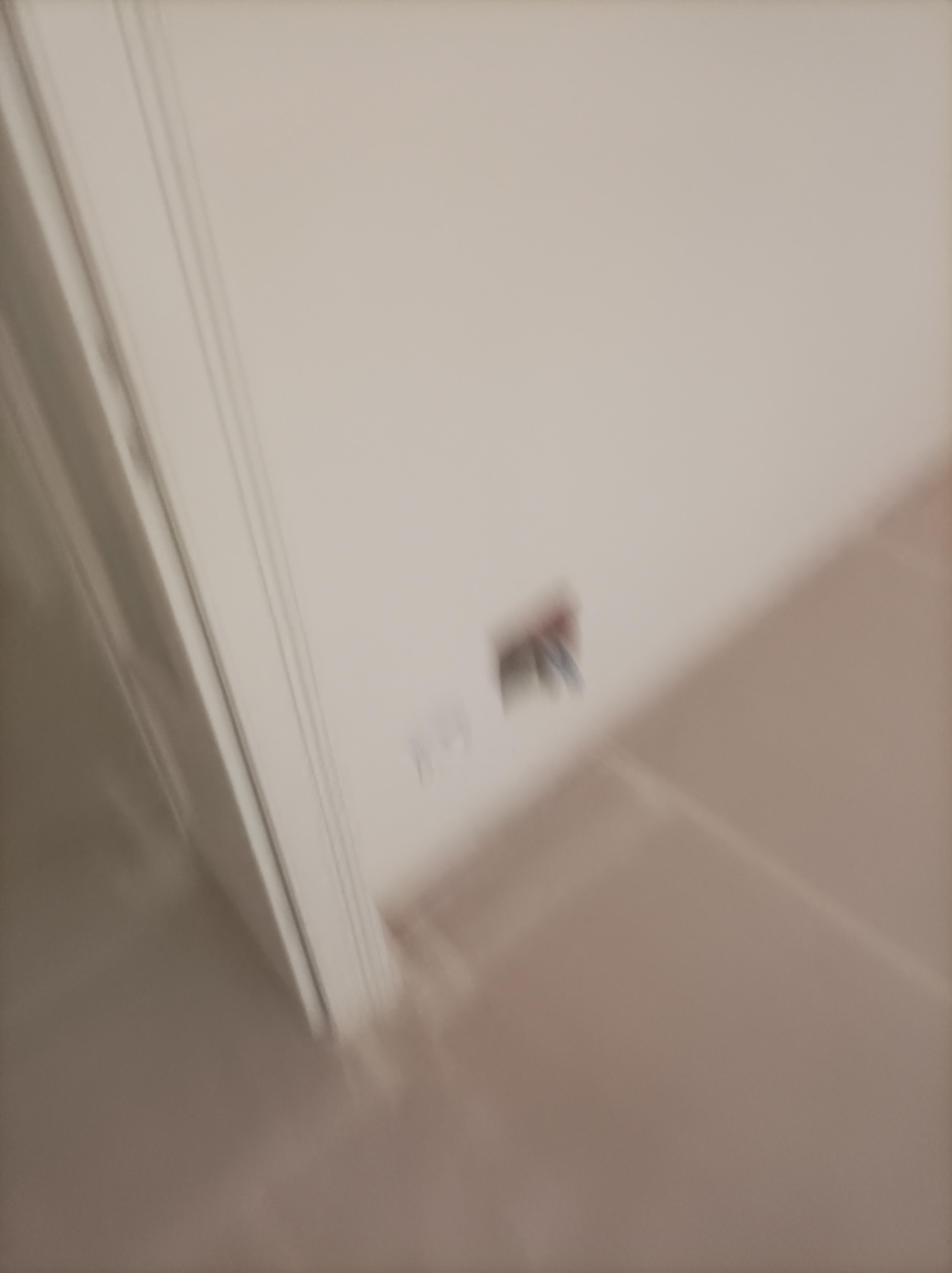 3ef8227b-d0d0-4848-aa1a-f3594ba396a9.jpeg