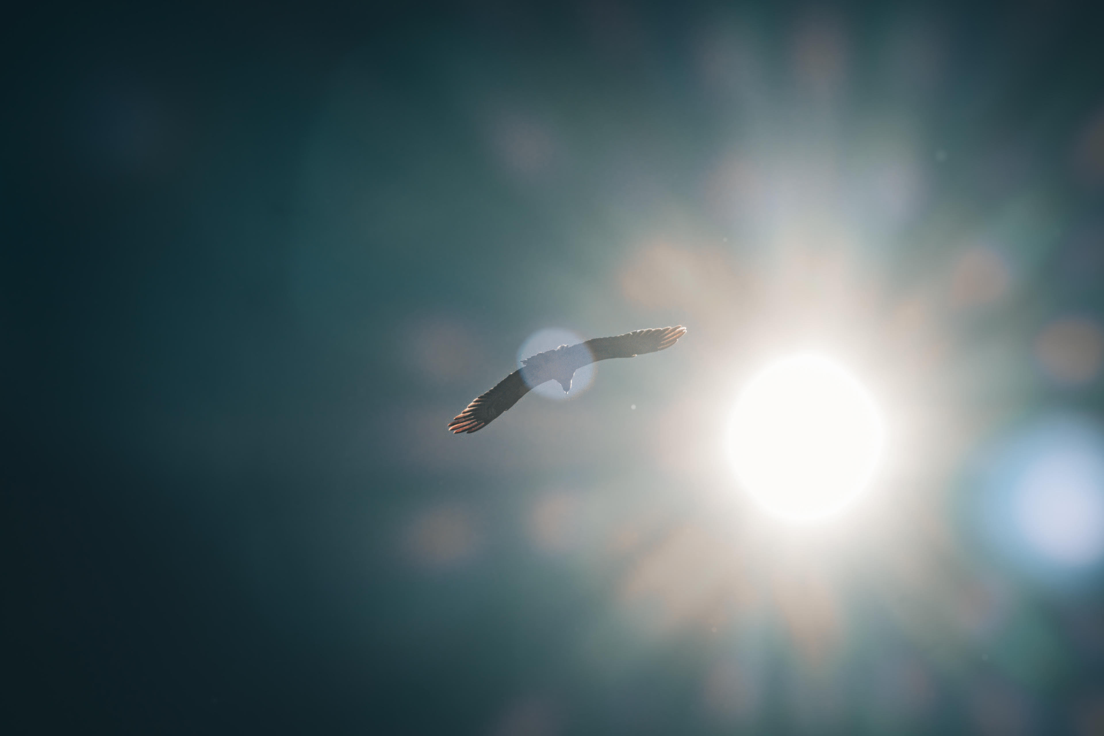 3f3f5c9b-dd2a-4a43-9a89-59acd4f210b6.jpeg