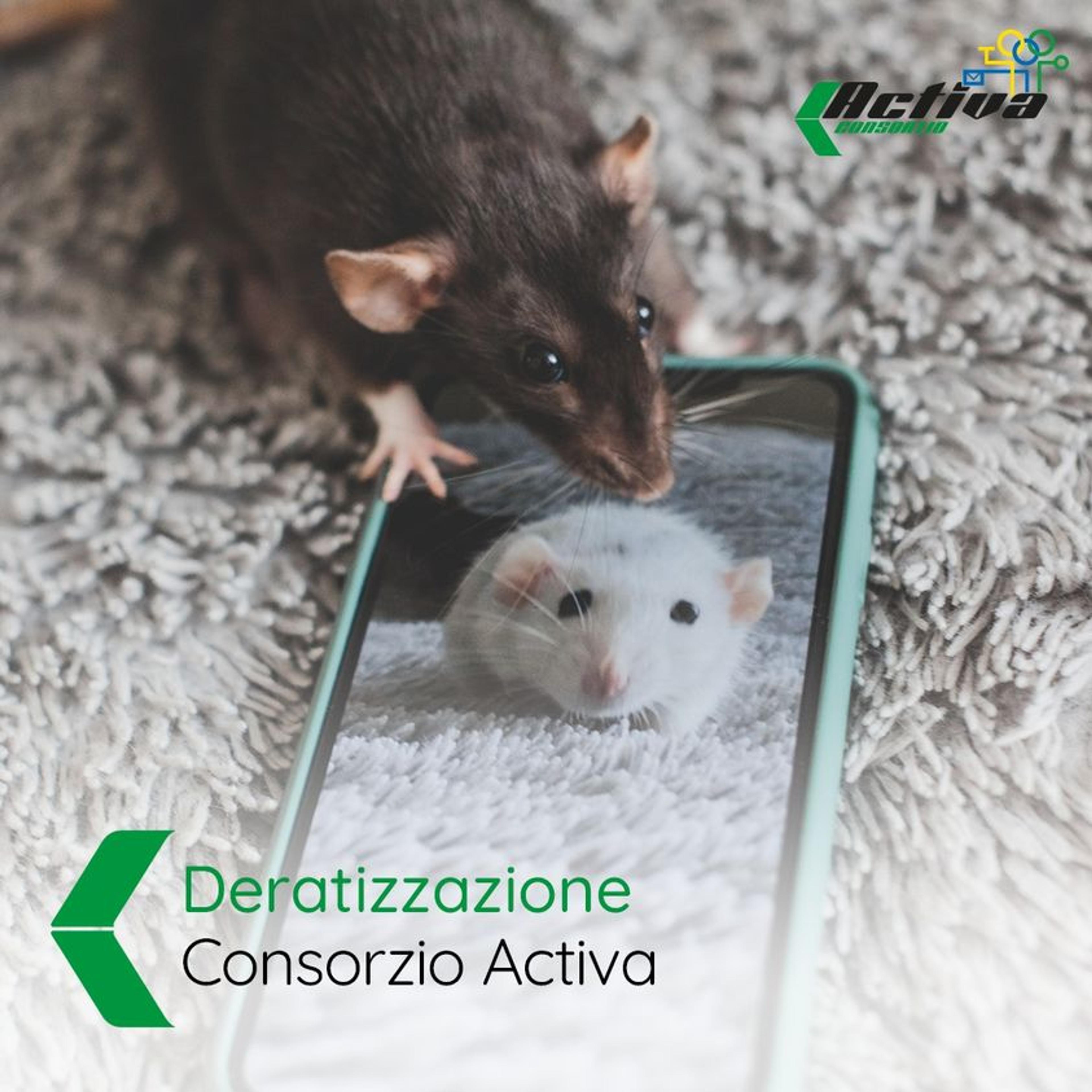 3f536bca-06cd-4535-ab79-13c8e516333b.jpeg