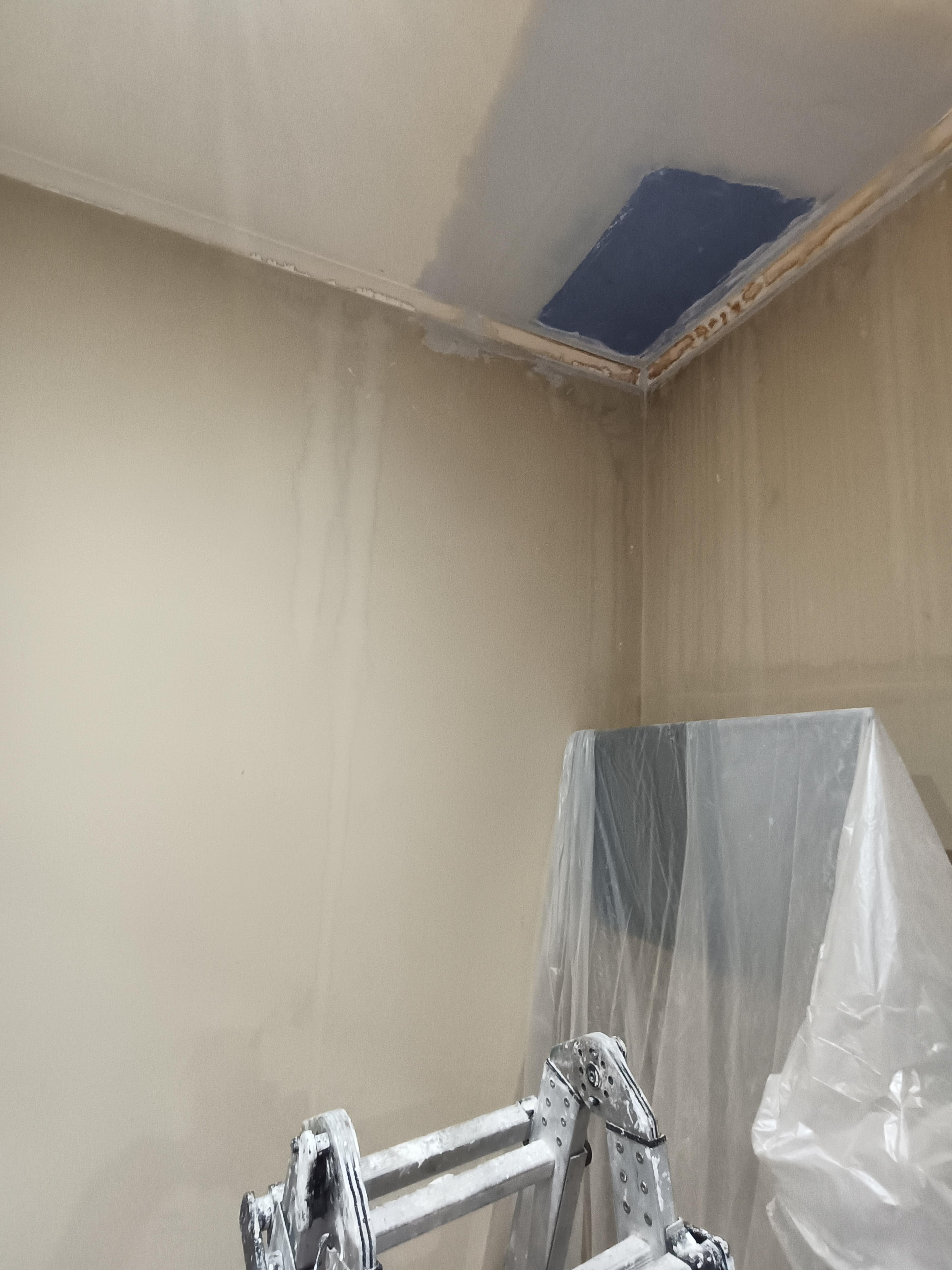 3f91e365-3c9e-4812-a29f-1ece5d6fcf70.jpeg
