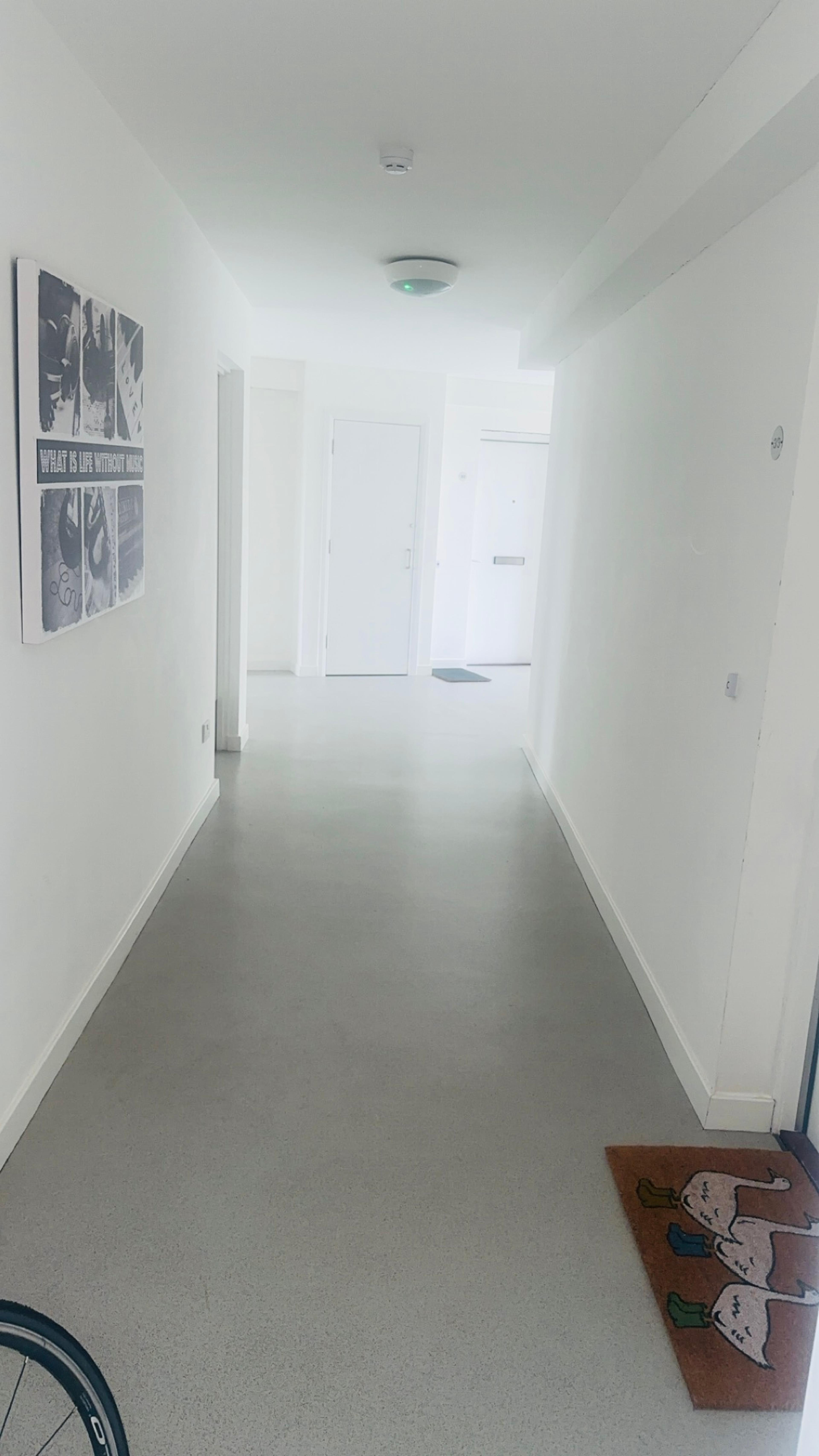 3fbf054d-1936-48cf-8737-494ed4565d21.jpeg
