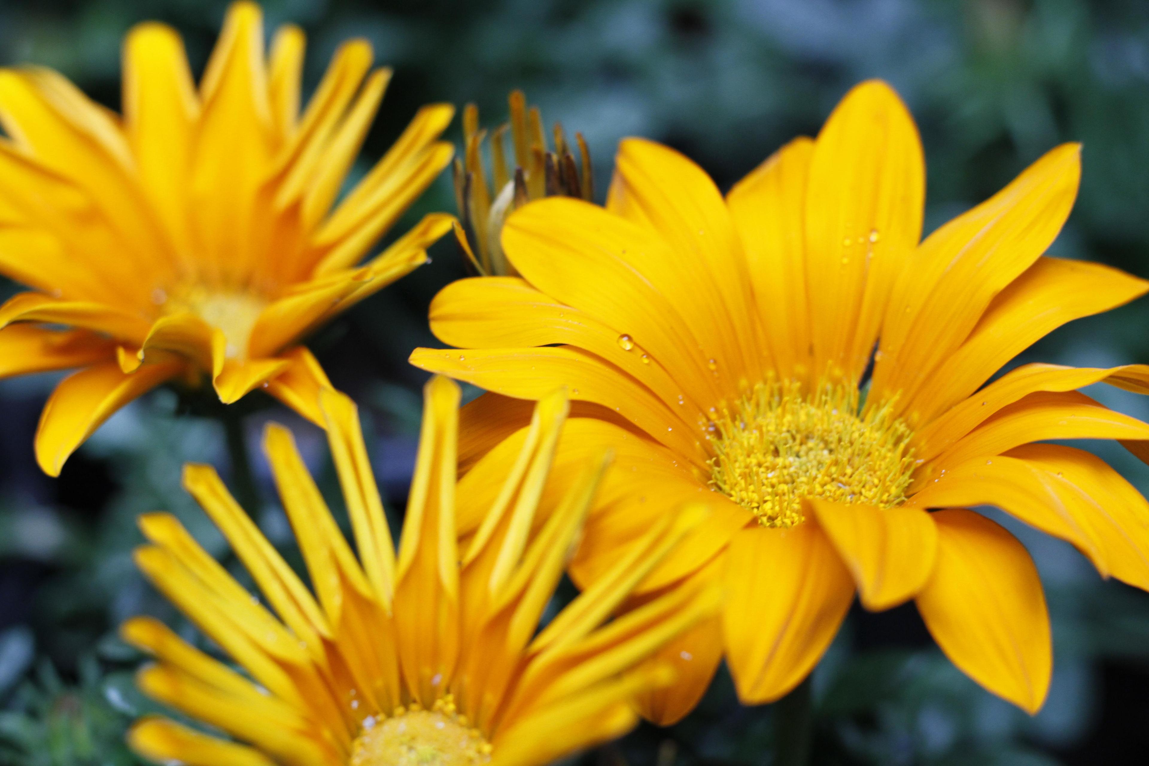 406925cf-4416-4814-93dd-f1283414d5ad.jpeg