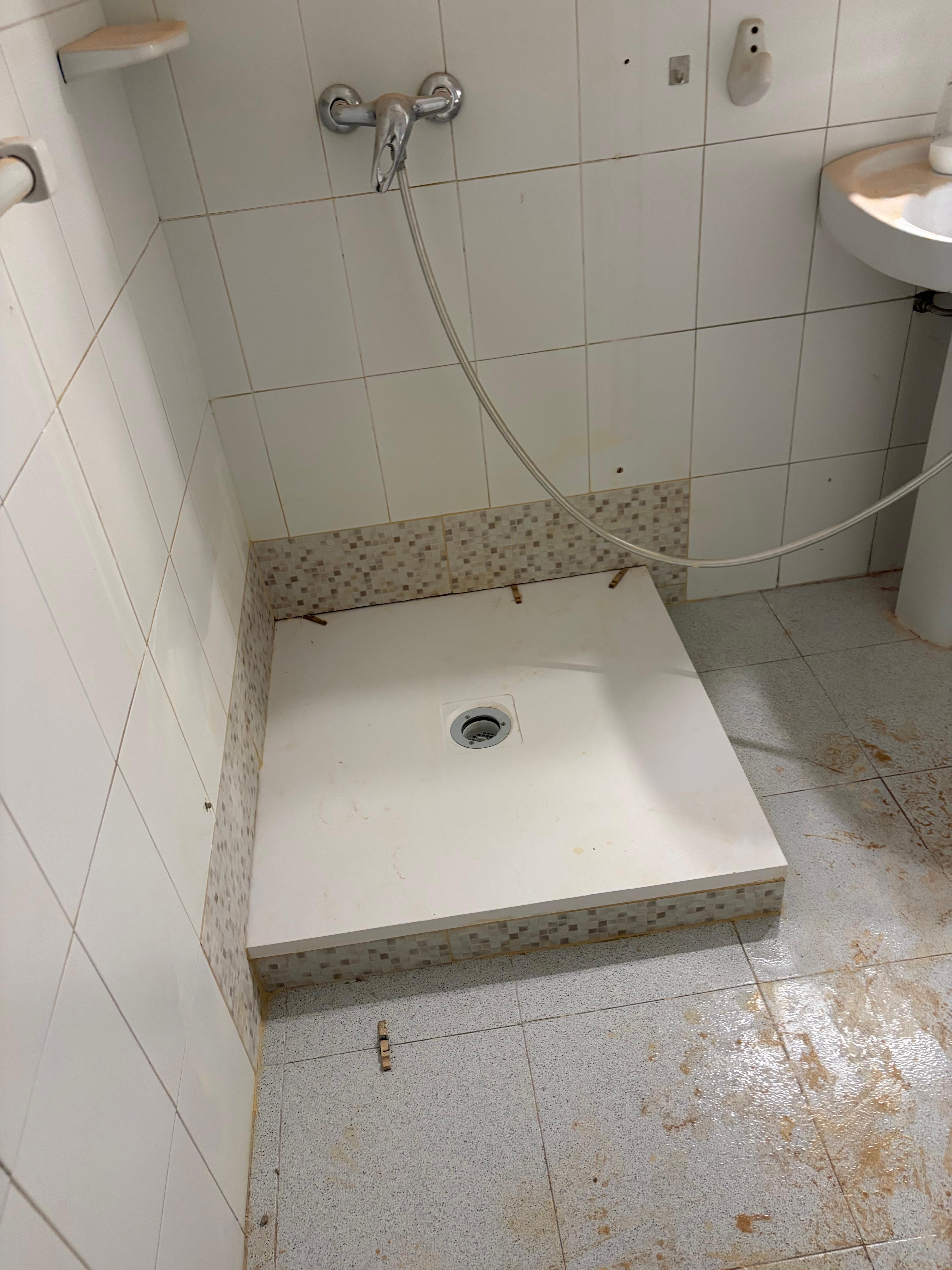 4087bd70-8f91-4e4d-a5cb-108347522d0b.jpeg