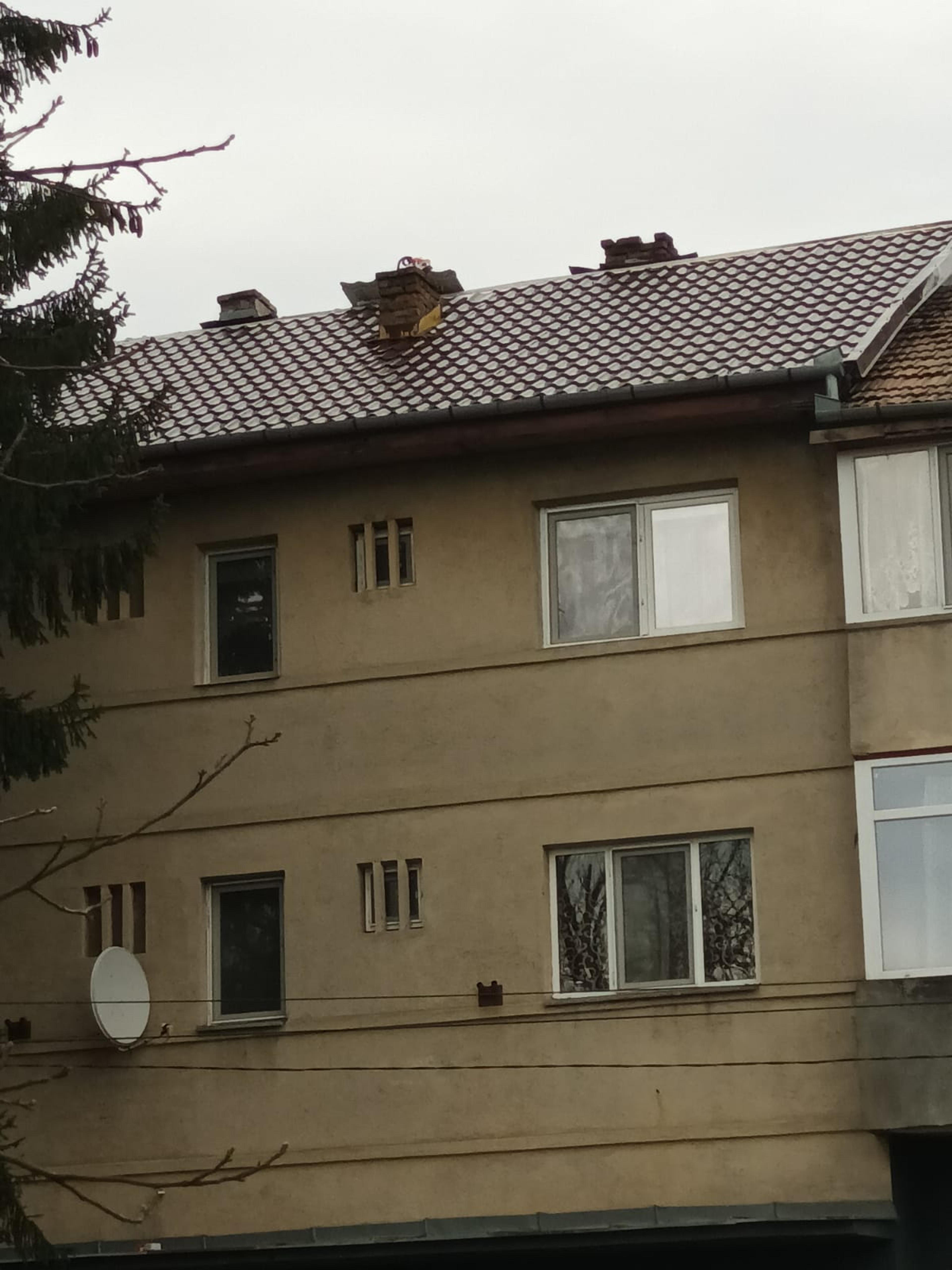 4117c999-6f68-42a1-bc3d-69d18486f452.jpeg