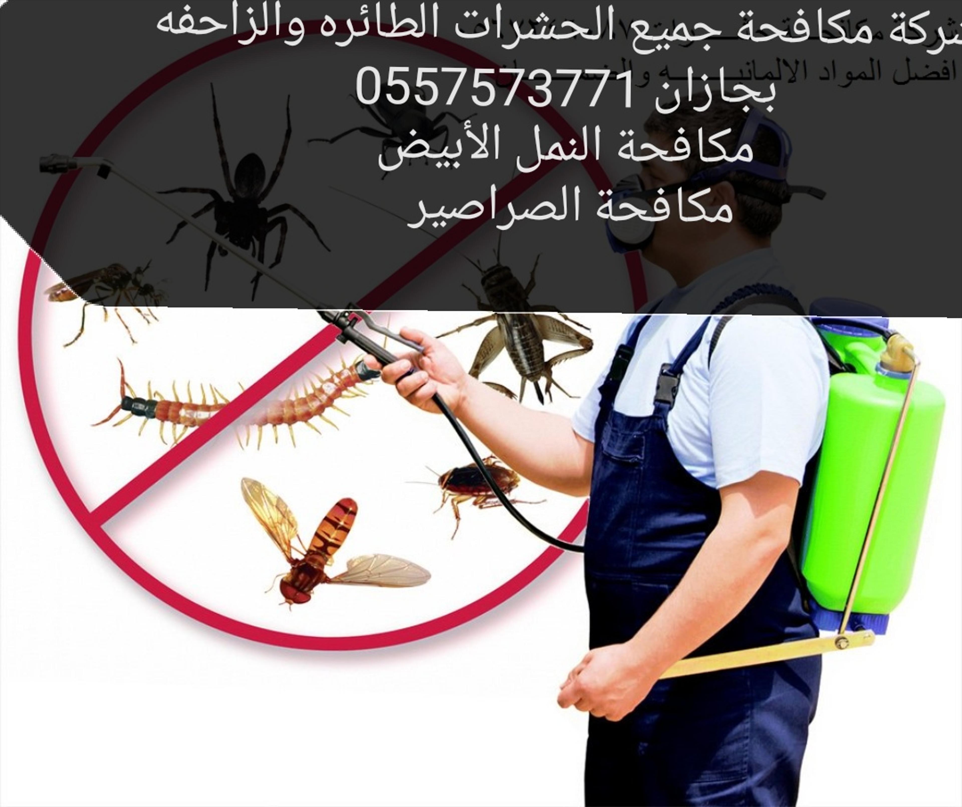 4196c56f-30d4-4099-8d72-f99d9c22f374.jpeg