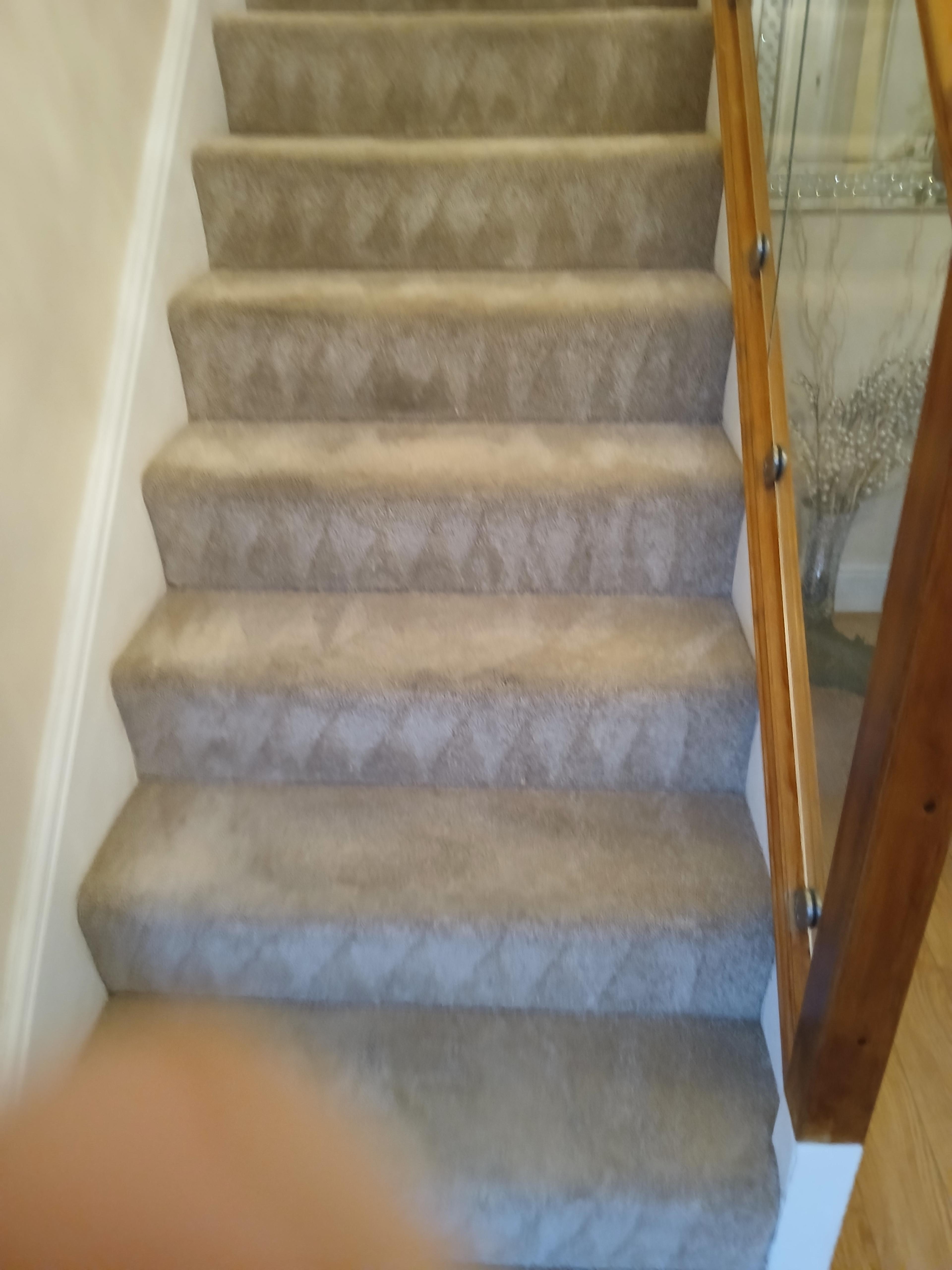 41ac97ff-82dd-4a6a-a735-df3a18a3d795.jpeg