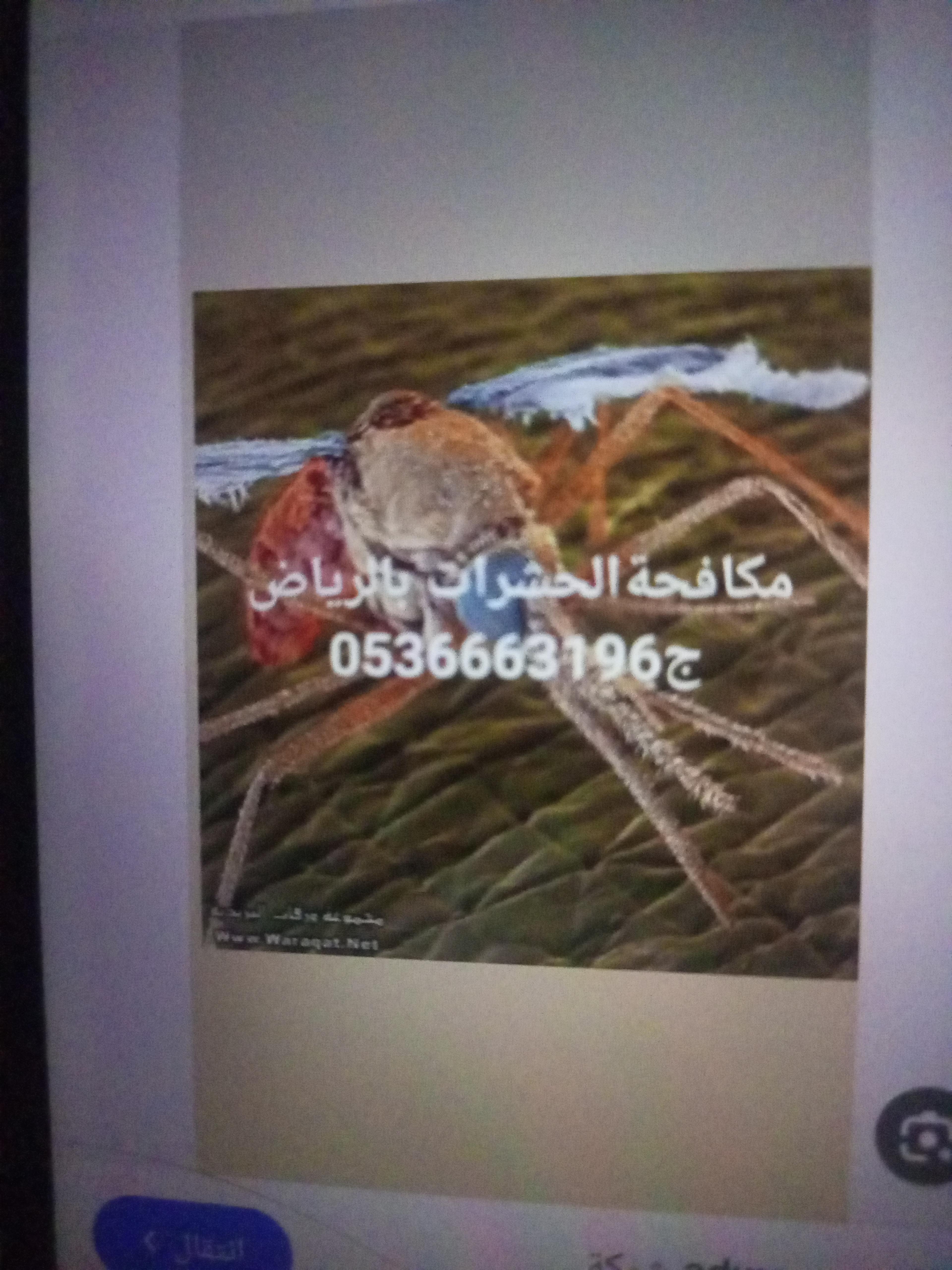 41dd7f8a-7793-45ce-9e53-3b76ad29d6a2.jpeg