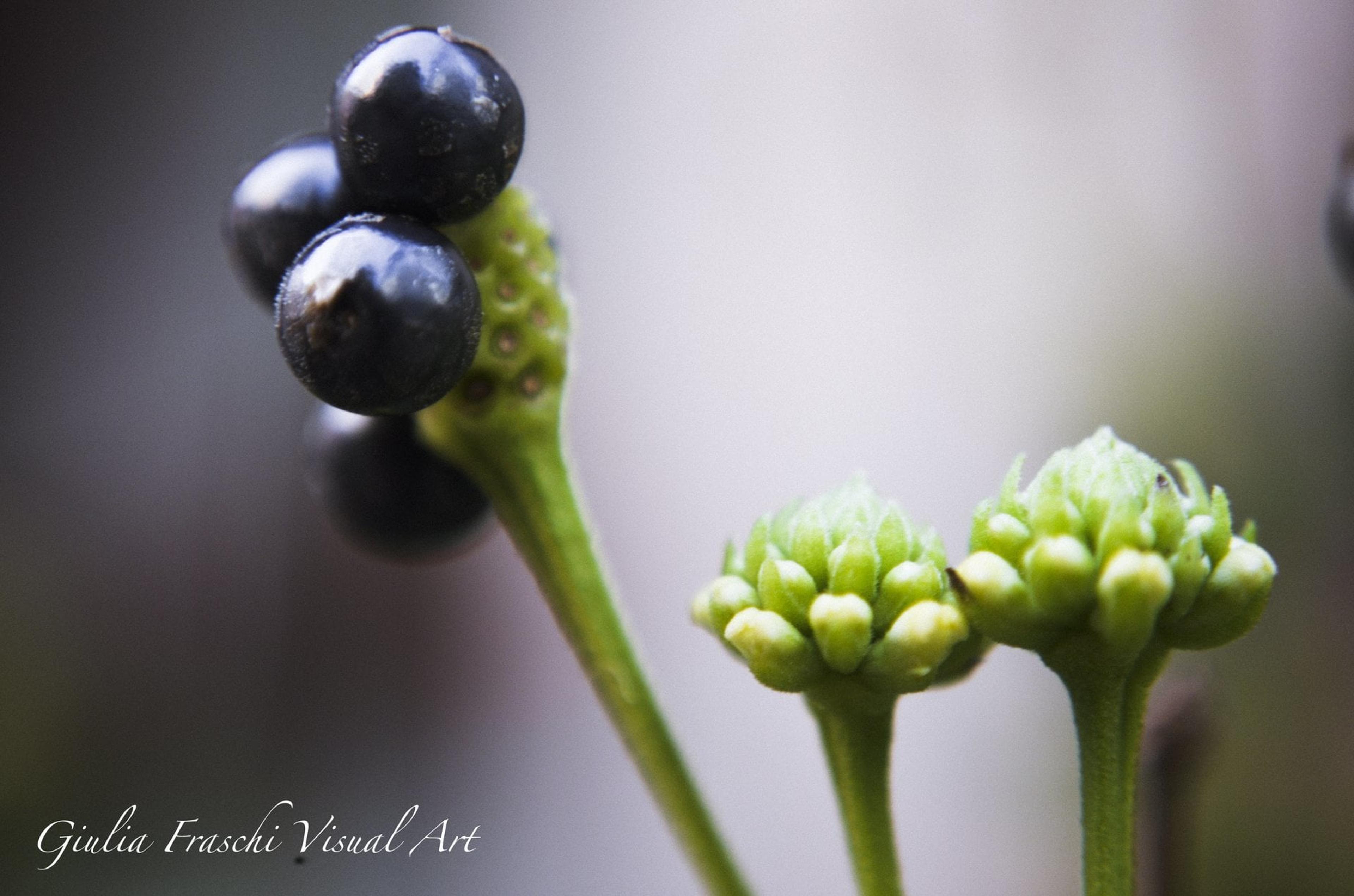 426d2ebf-621d-4a1d-9198-5104d14702cf.jpeg