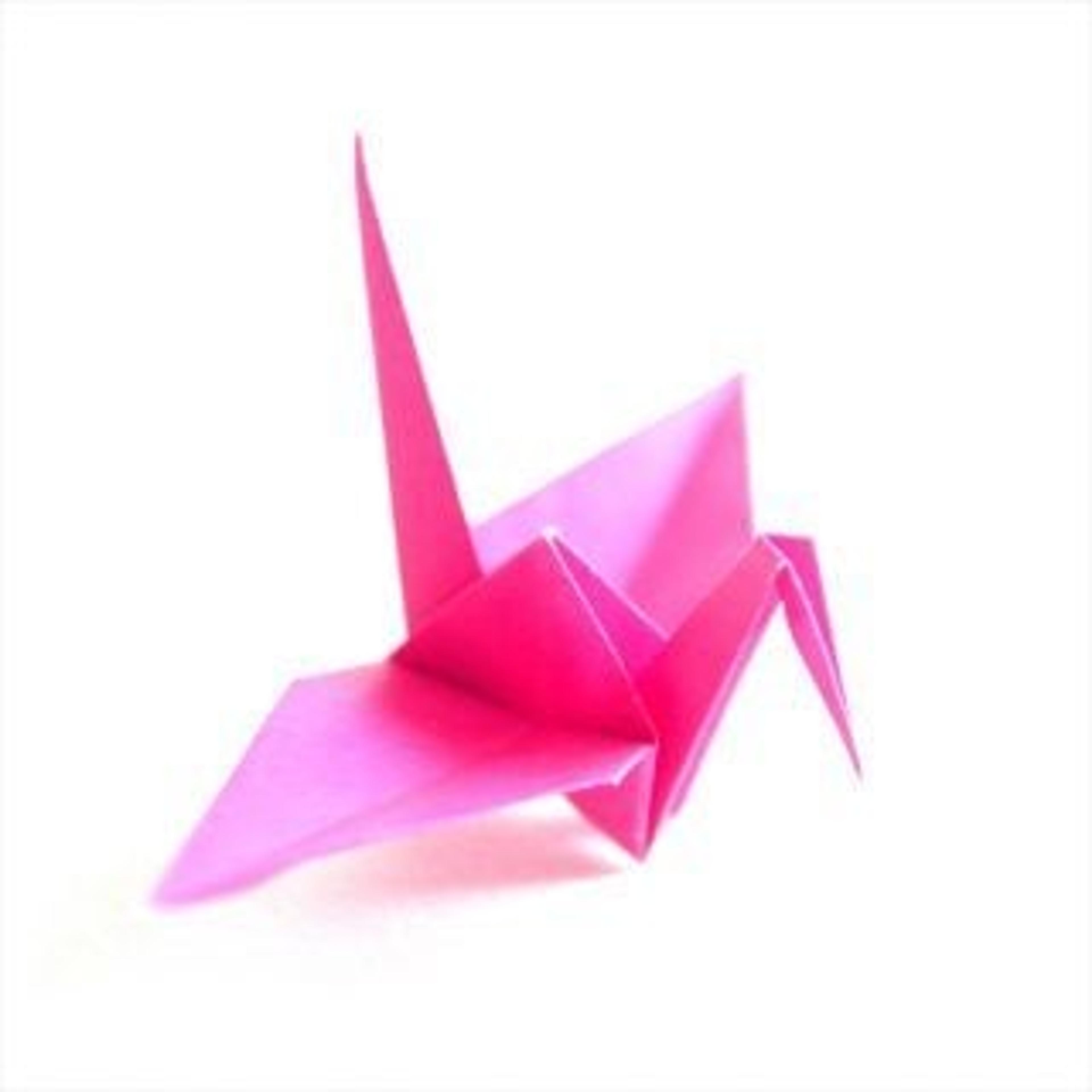 42f89501-acc3-476c-aa4a-772e9d536923.jpeg