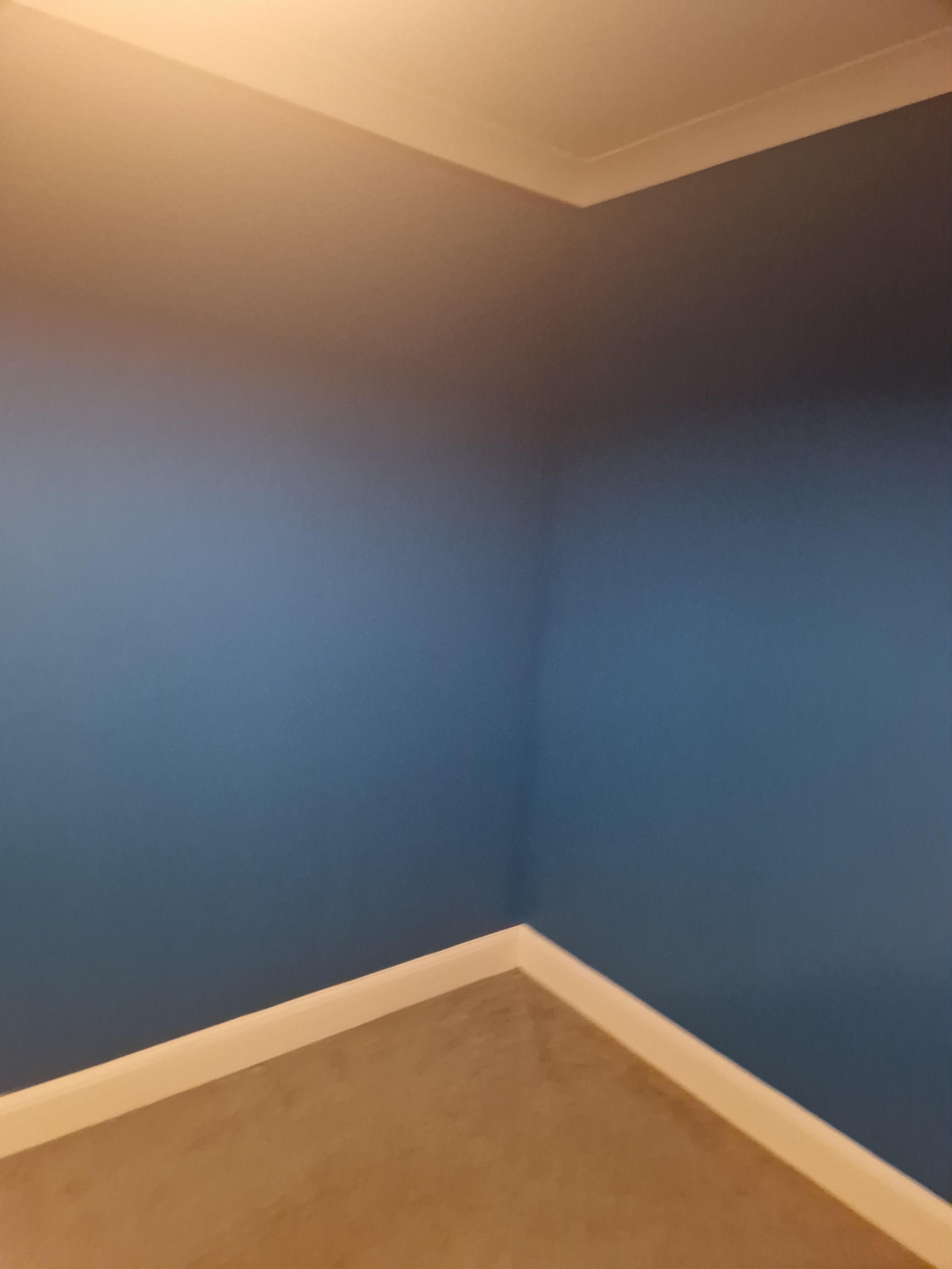4310523e-8630-4aad-a9e0-07707f131f9b.jpeg