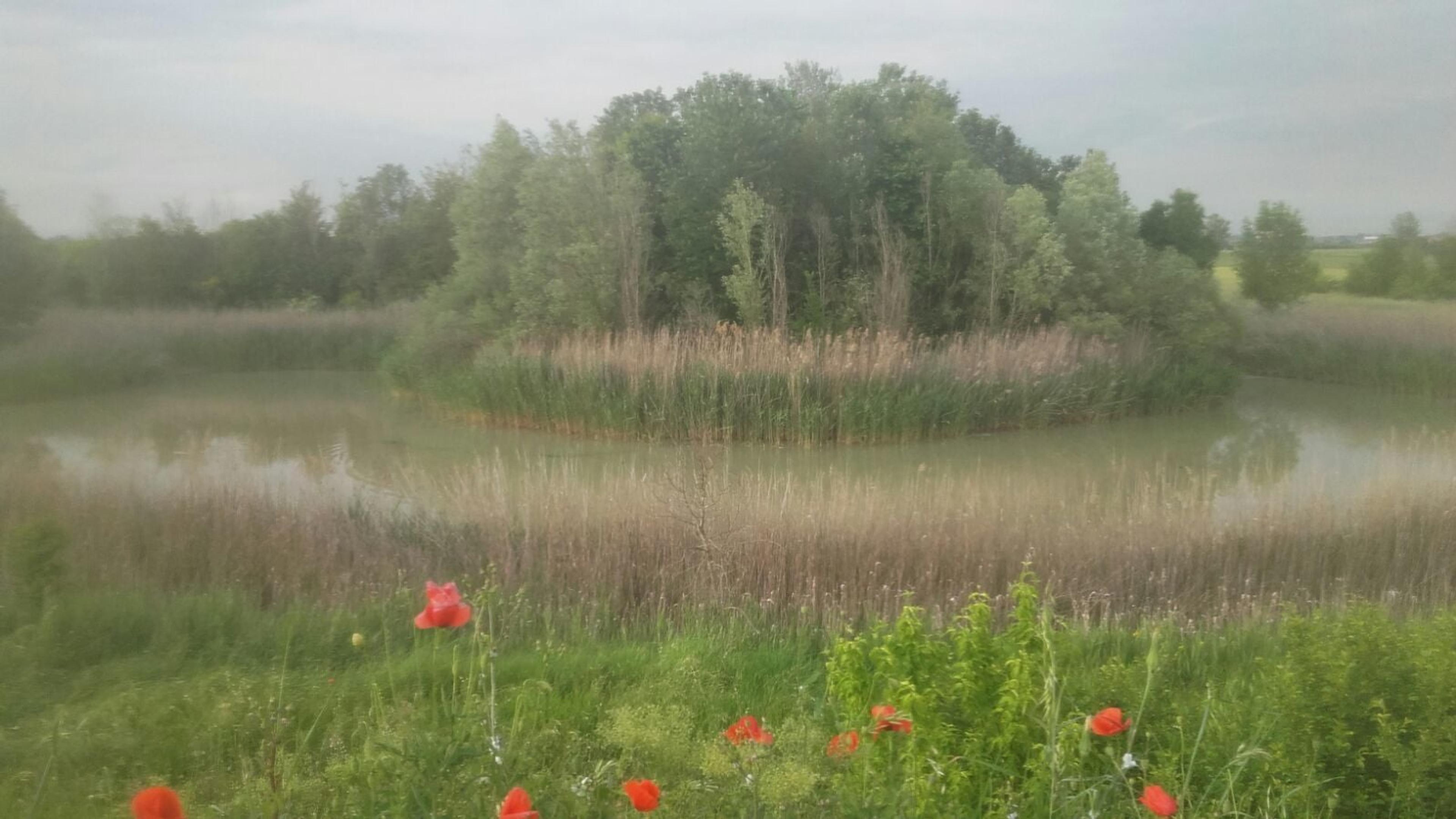 431719e5-0cf2-4320-8f23-230f0fa56339.jpeg