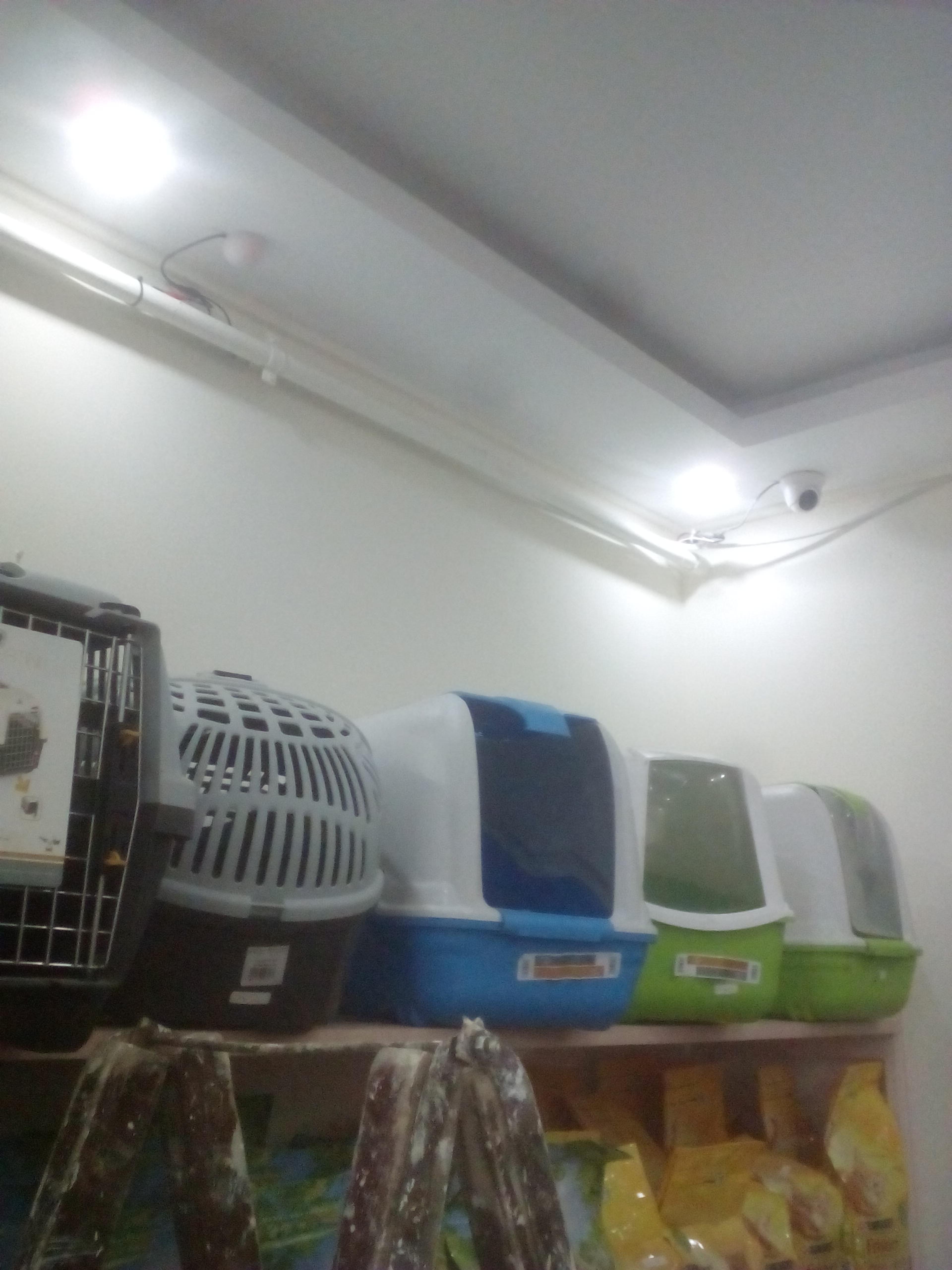 437a26e5-1780-449c-88b1-66f46a5bcf05.jpeg