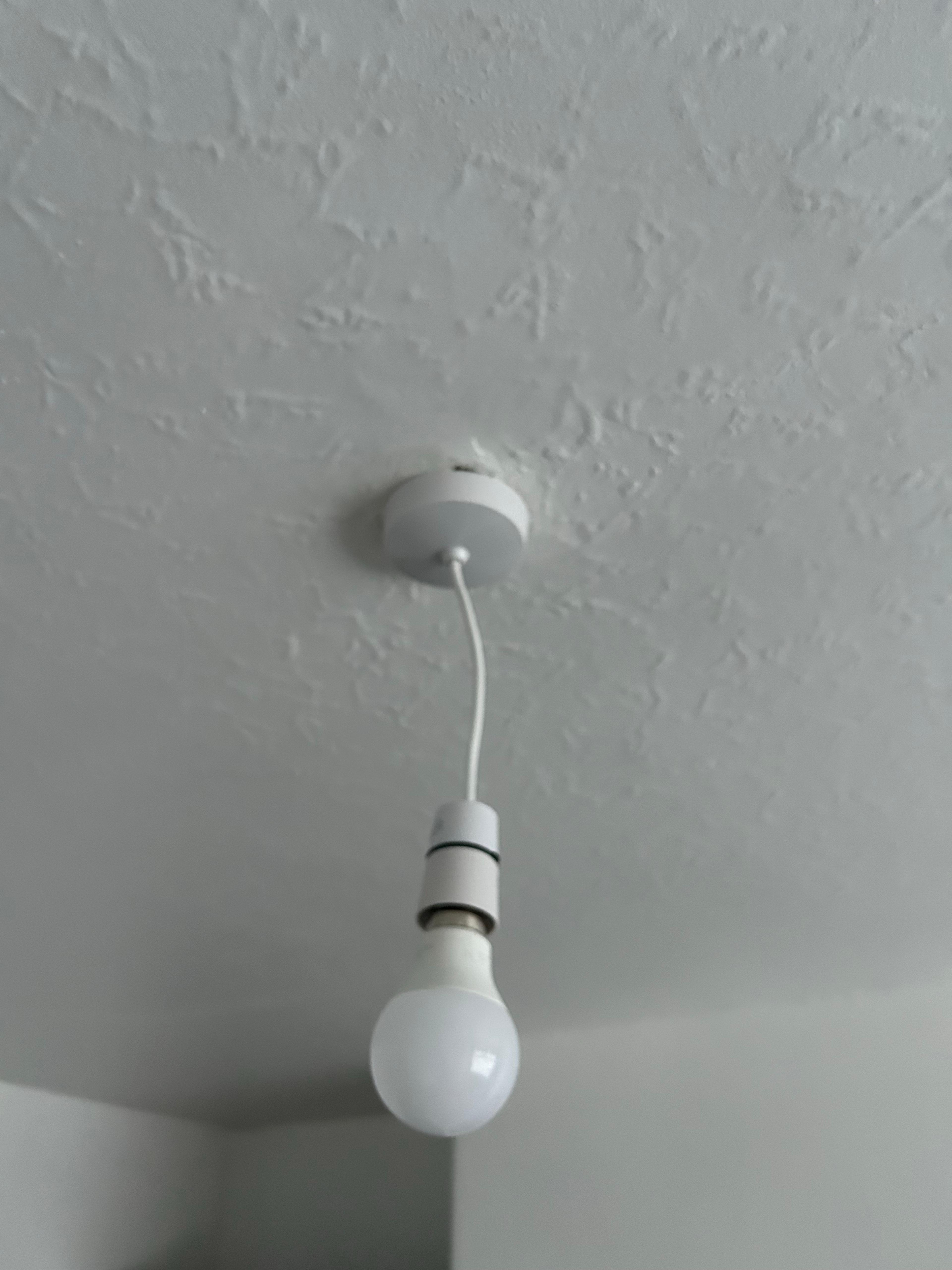 439bf564-9624-4d61-a412-1b81f73e6816.jpeg