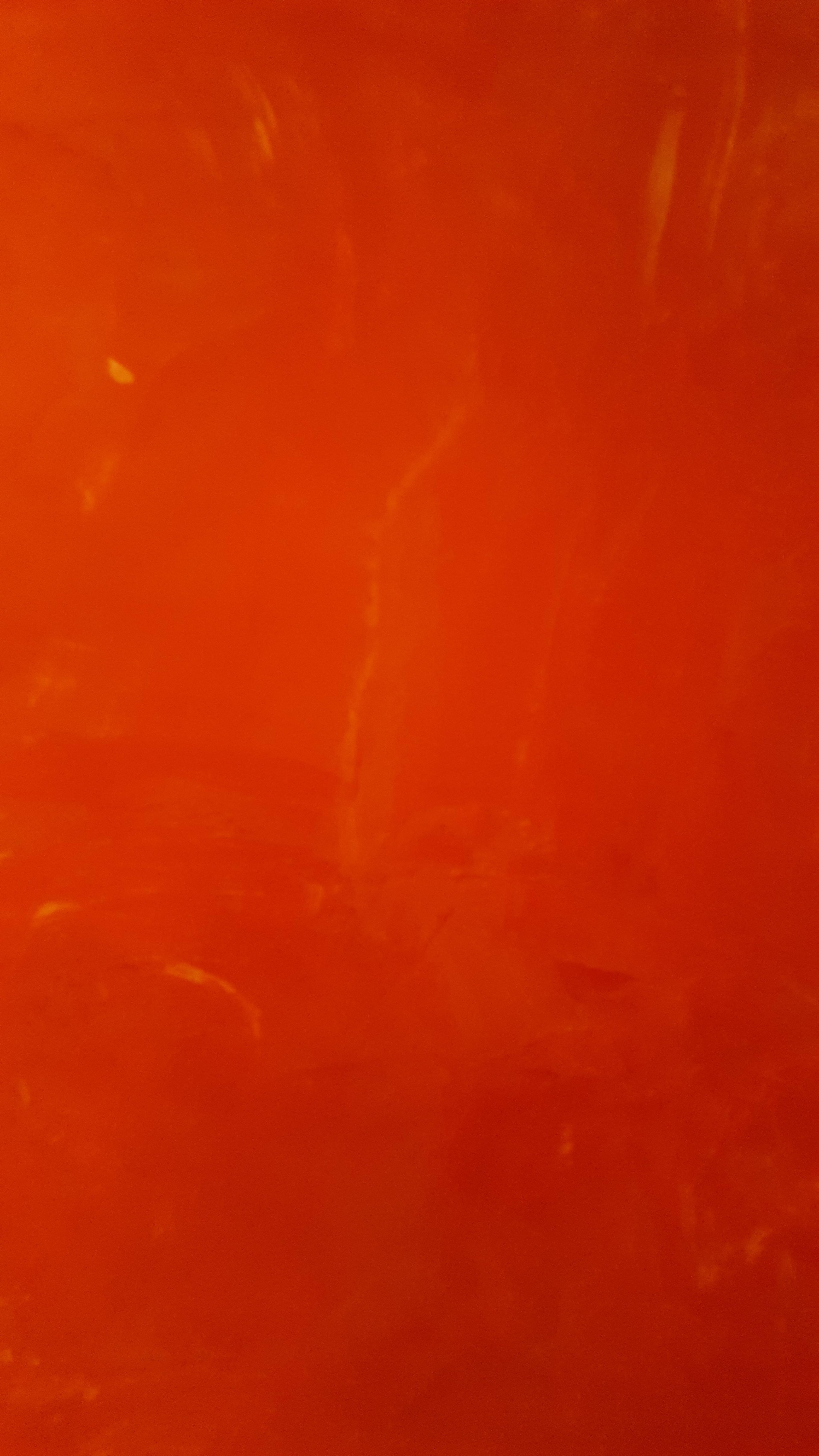 43af8ac1-4c9d-4371-a605-4f673dc67260.jpeg