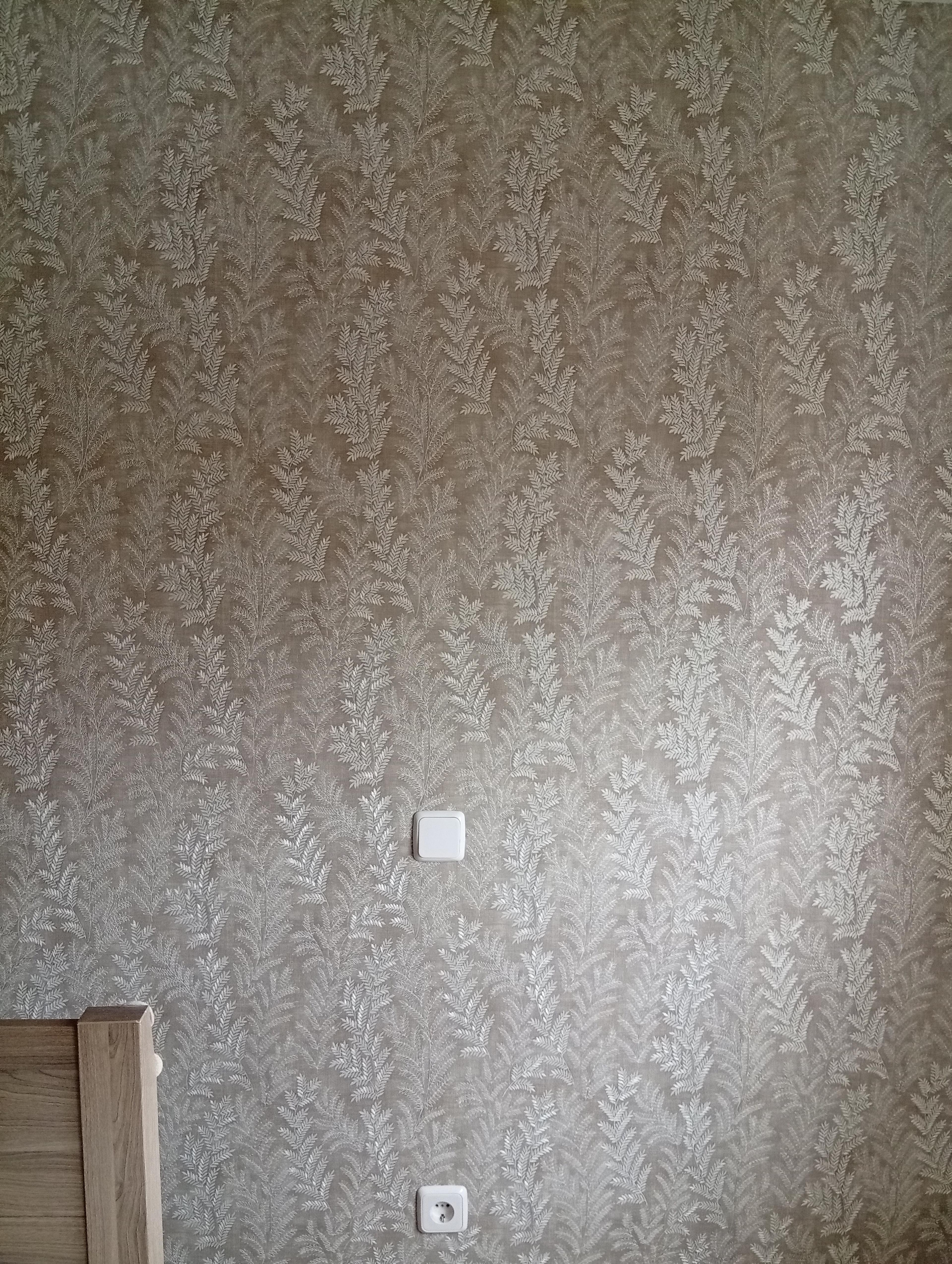 43fb5f4d-2bdd-4420-ab52-48d7df62b8b2.jpeg