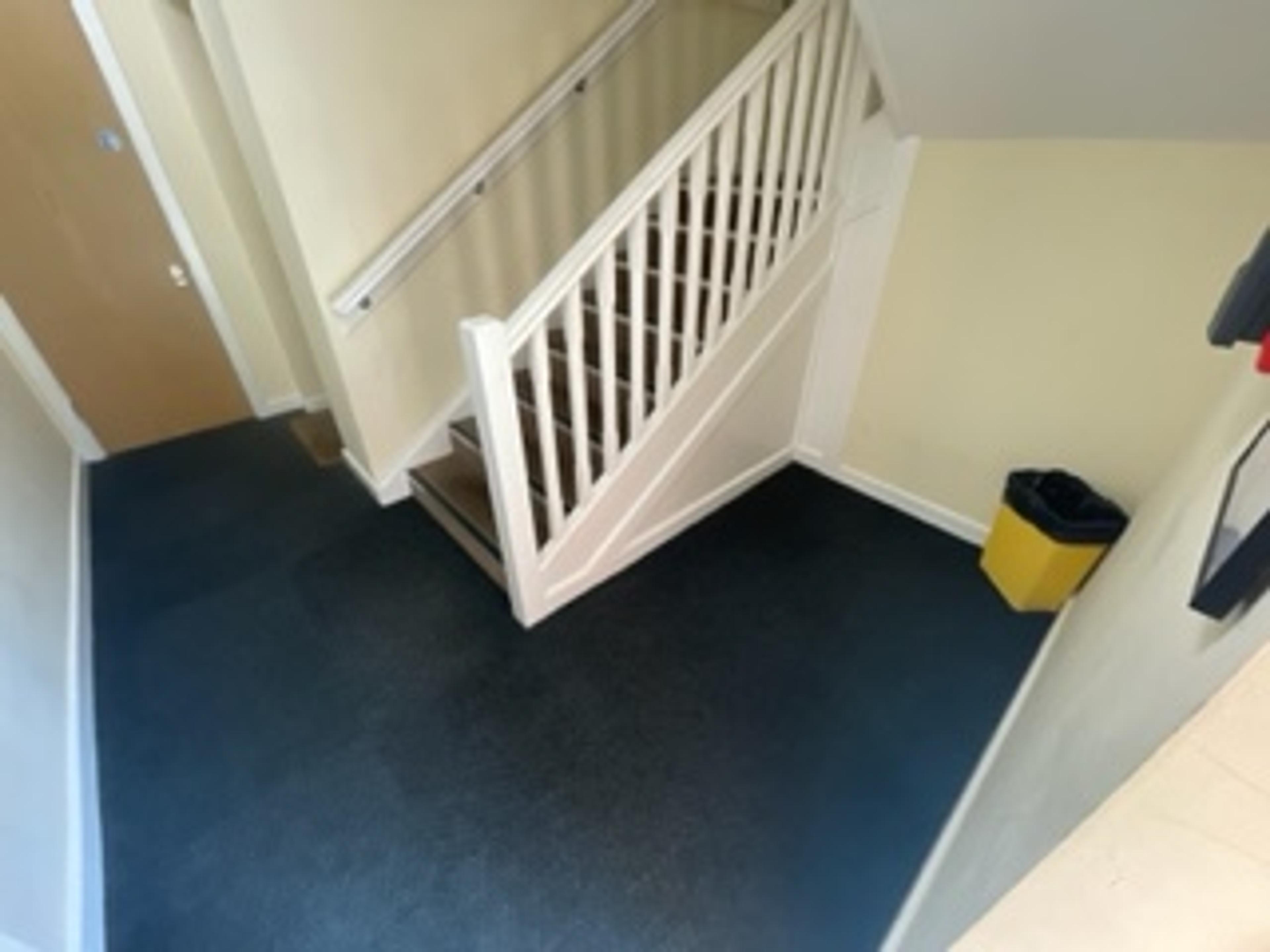 44a86014-d6fc-4ba4-b908-cc871cb42dca.jpeg
