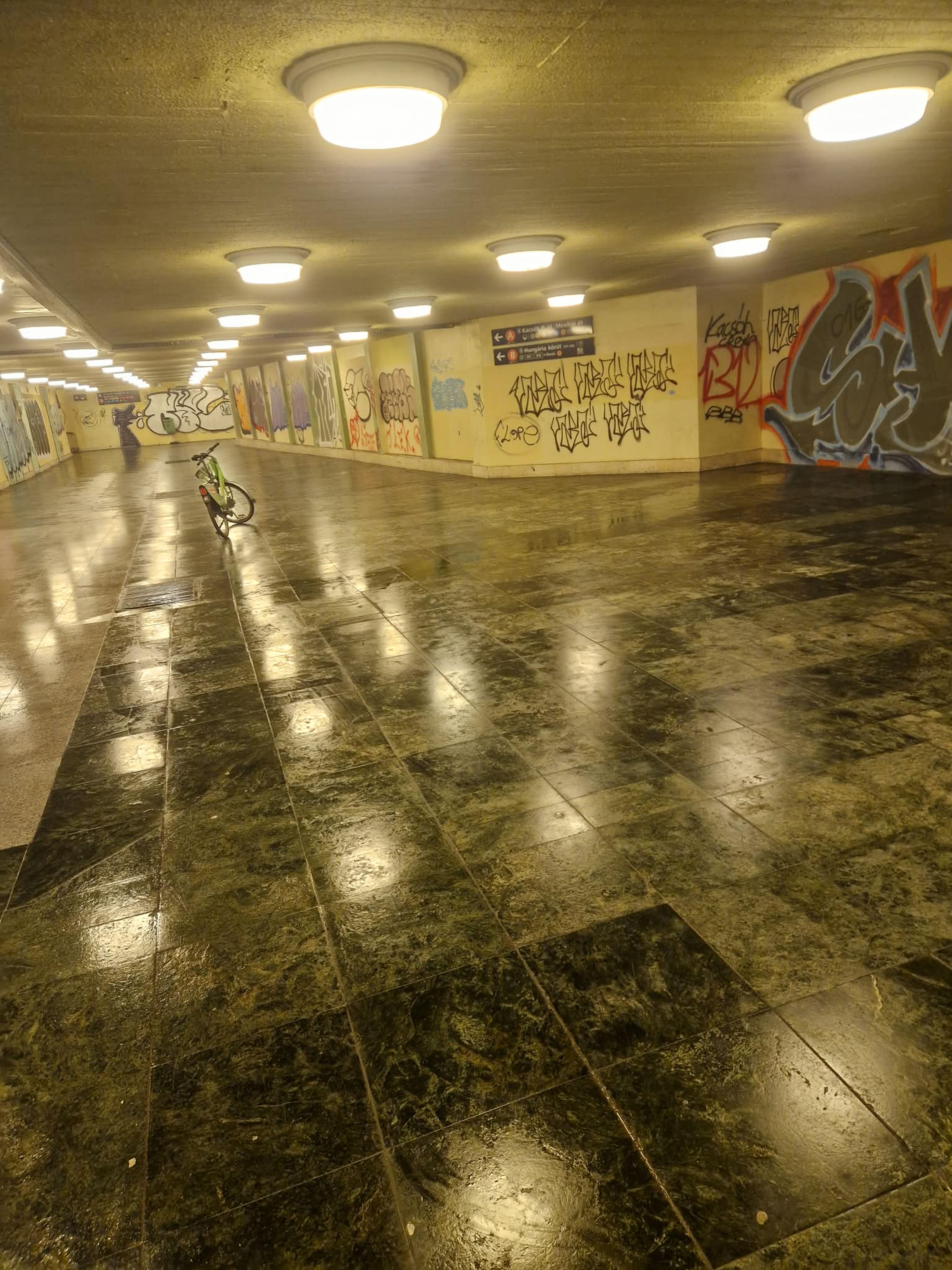 453d12ca-75d0-4f6f-9c9d-375200239b03.jpeg